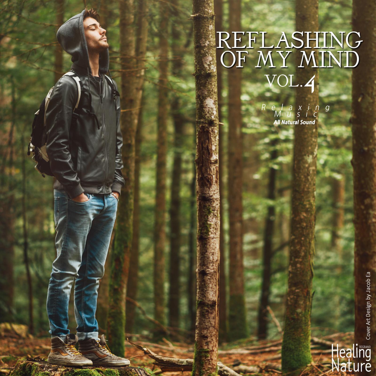 Reflashing of My Mind, Vol. 4