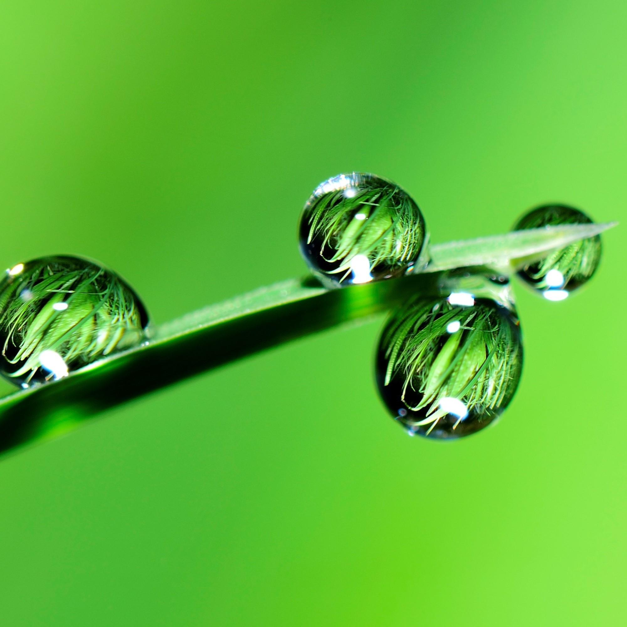 Colección De Lluvia En Bucle Y Profunda Y Poderosamente Calmante