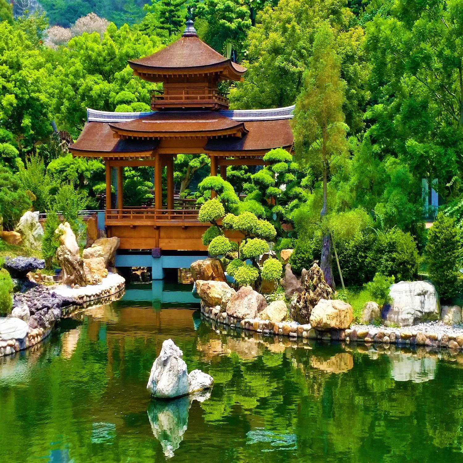 Zen Pond: Relaxing Lapping Water and Bird - Asia China