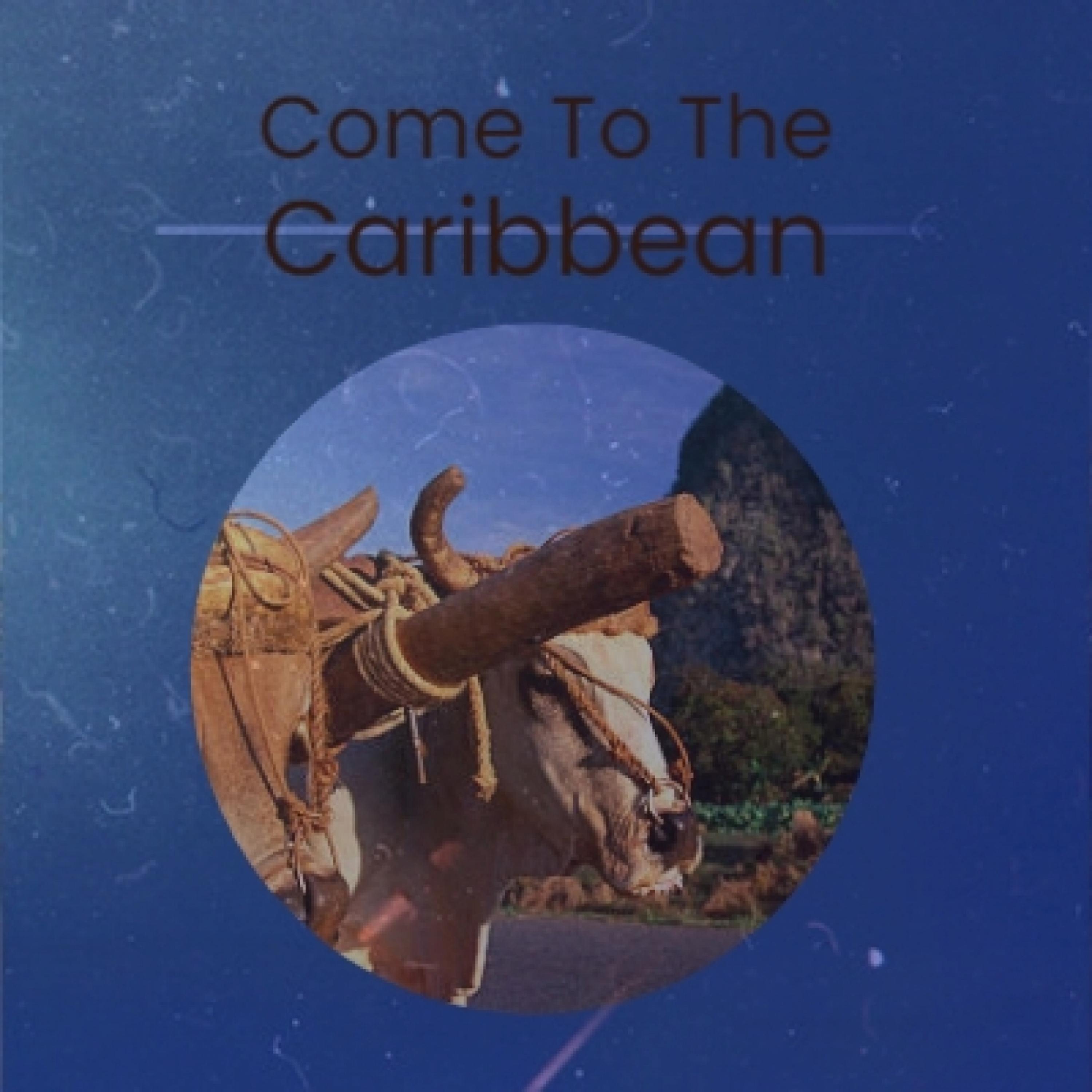 Come To The Caribbean