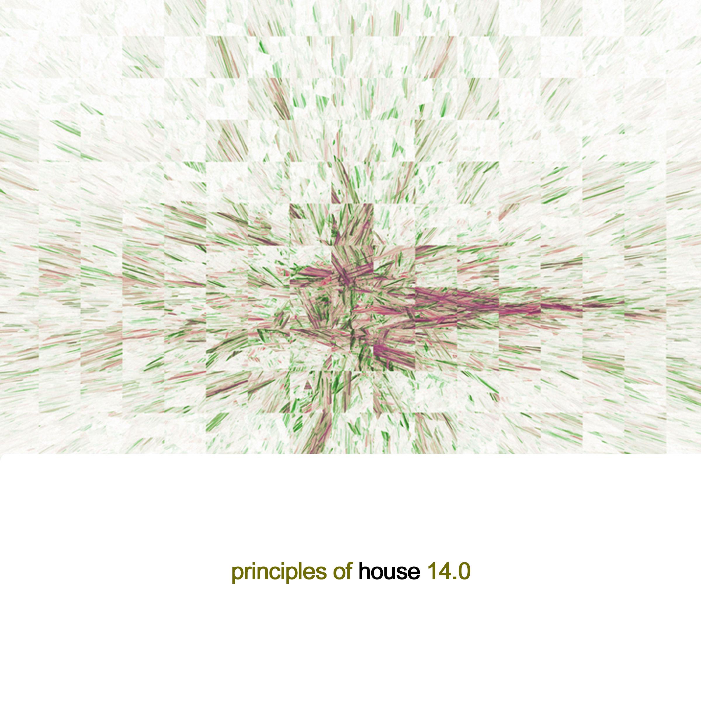 Principles of House, Vol. 14