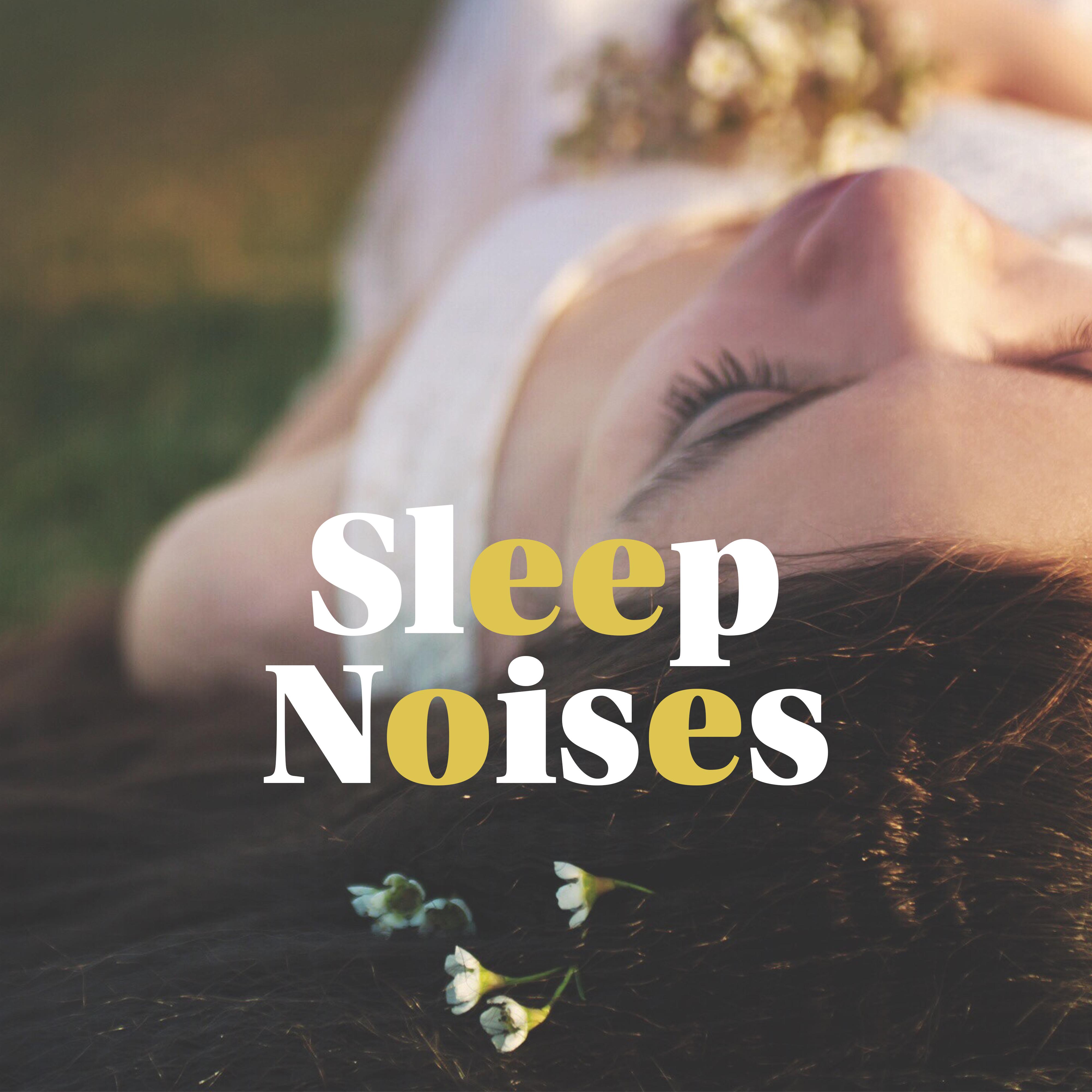 Sleep Noises - Binaural Stereo Melodies with Natural Soundscapes Designed for Sleep and as an Aid in Easy and Fast Falling Asleep
