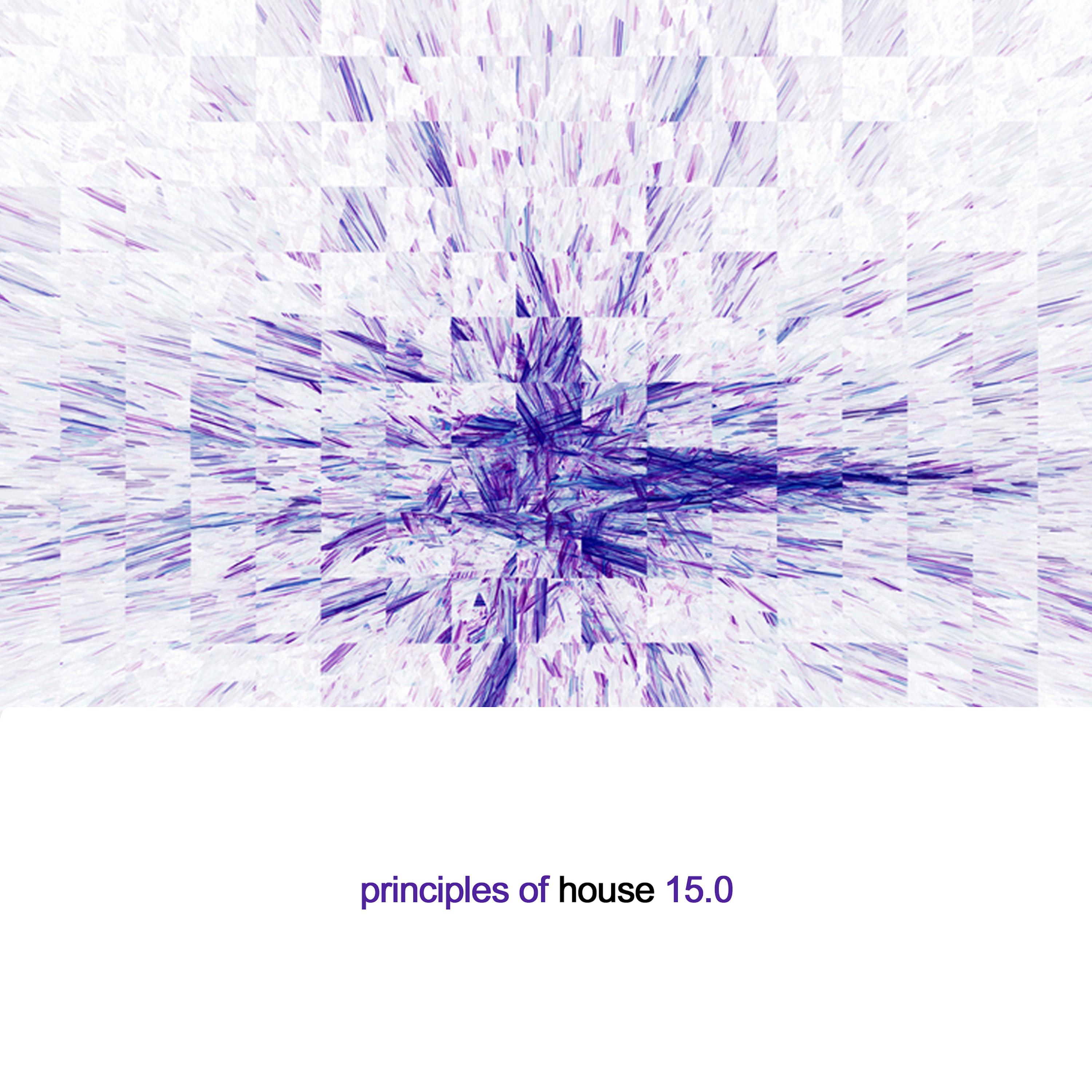 Principles of House, Vol. 15