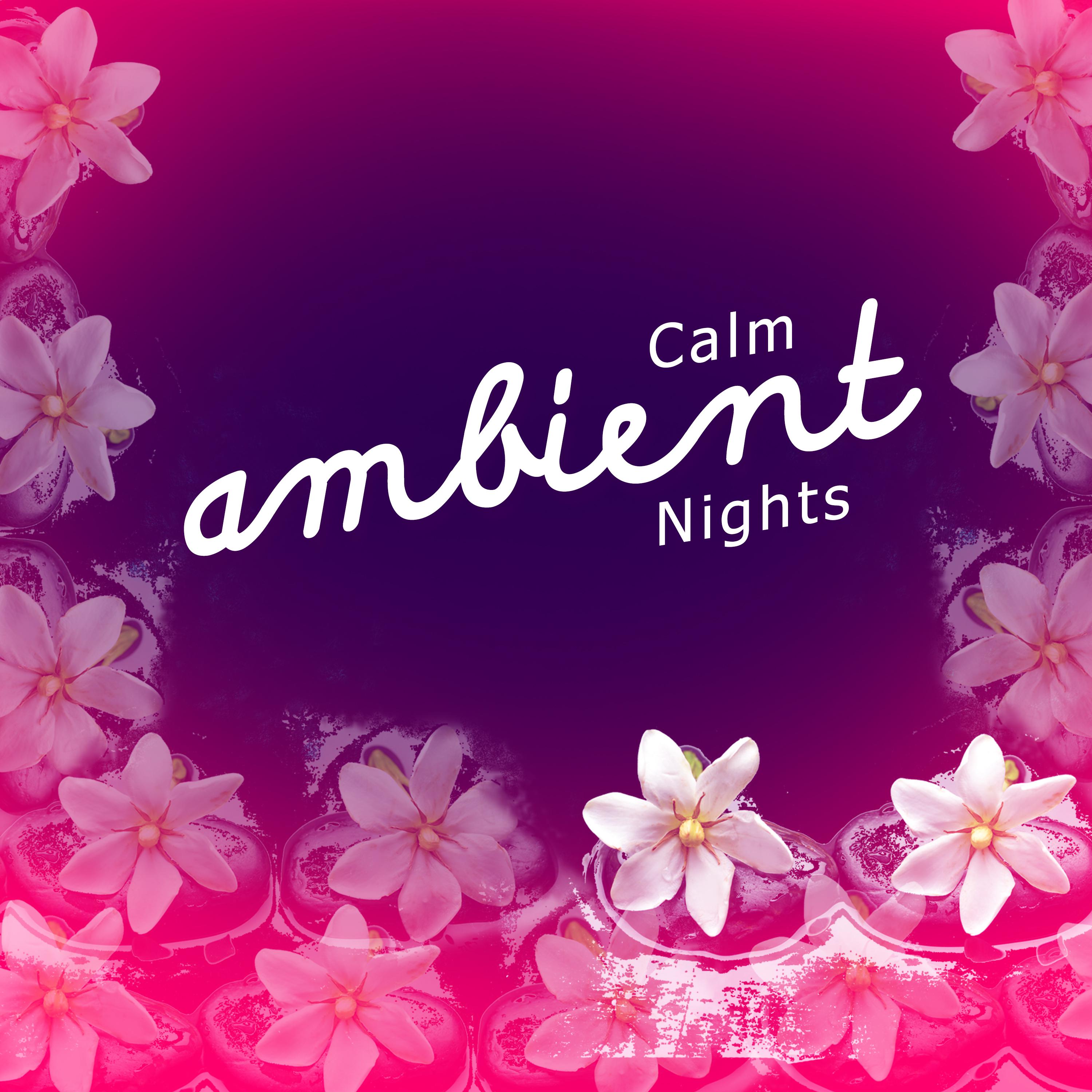 Calm Ambient Nights