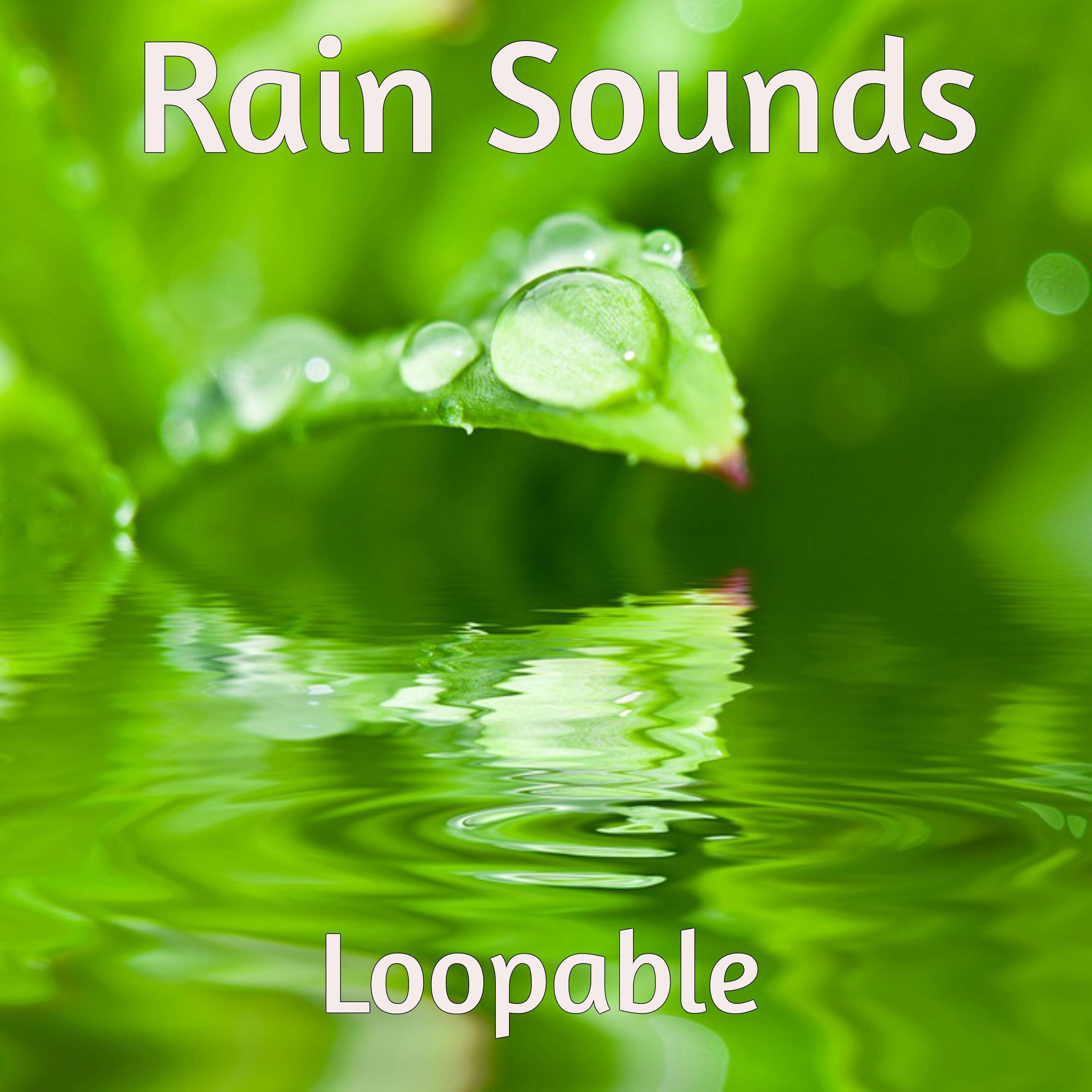 White Noise Traffic in Rain Loopable