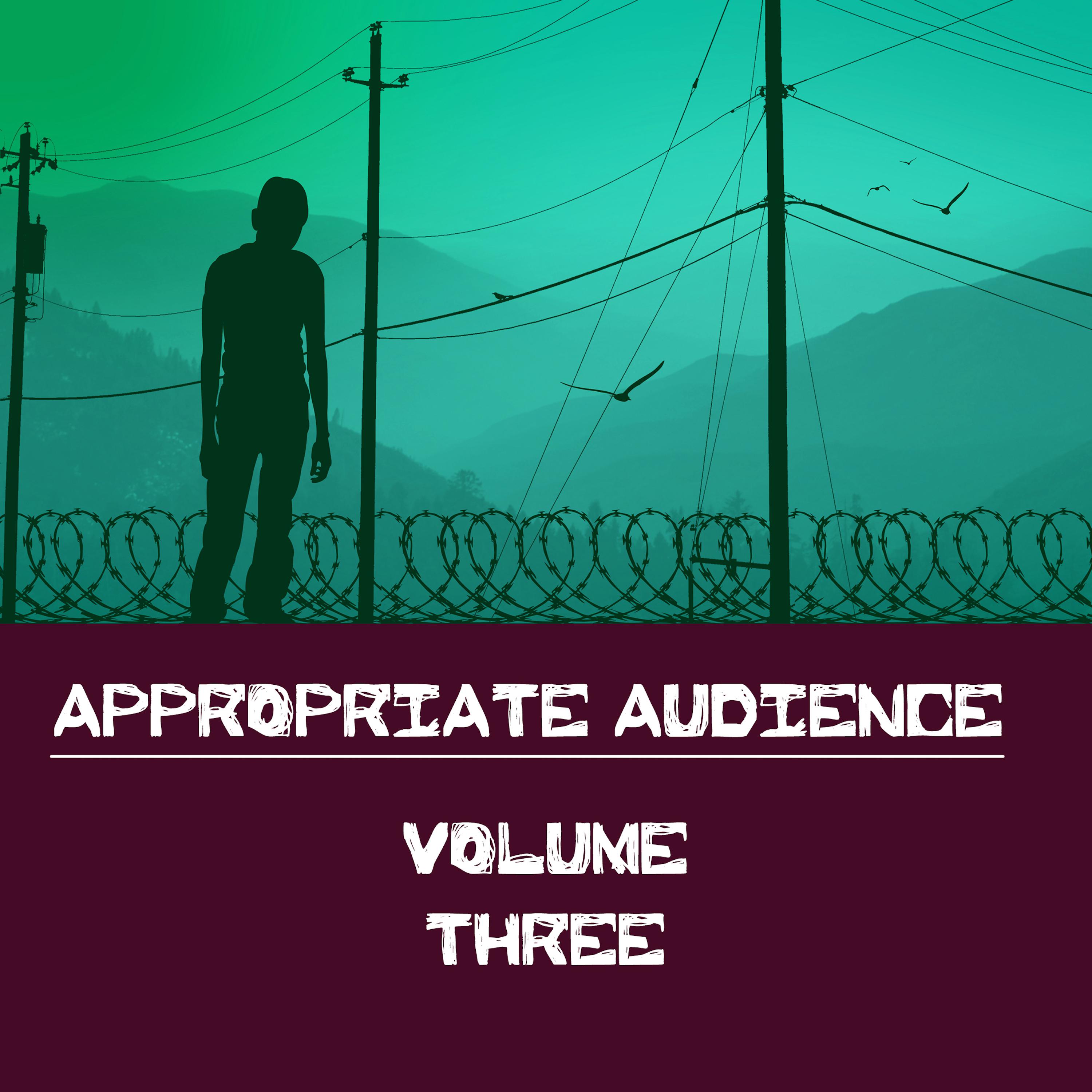 Appropriate Audience, Vol. 3