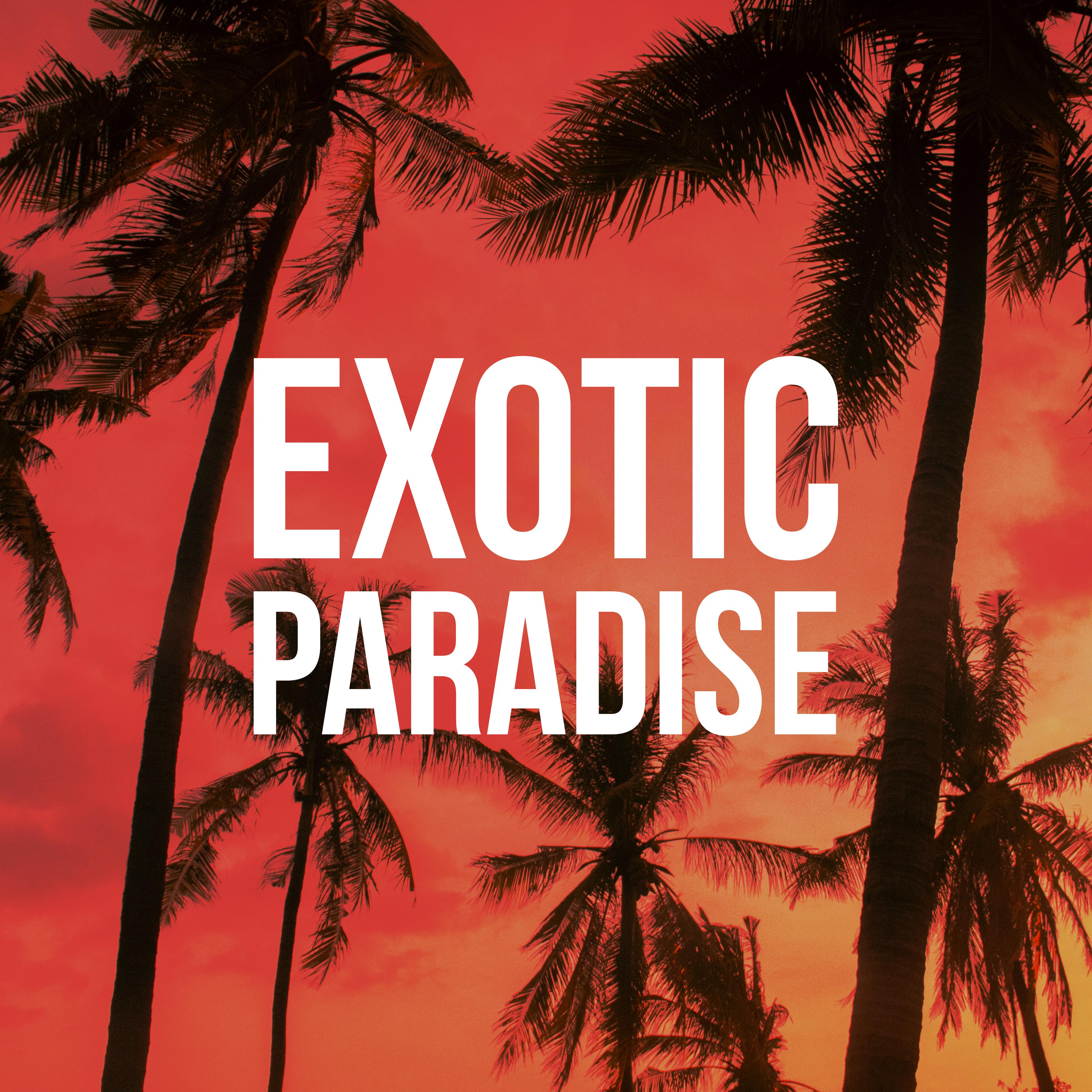 Exotic Paradise – Summer Music for Relaxation, Beach Chill, Calm Vibrations, Relaxing Chillout Moments, Chill Out 2019, Ibiza 2019