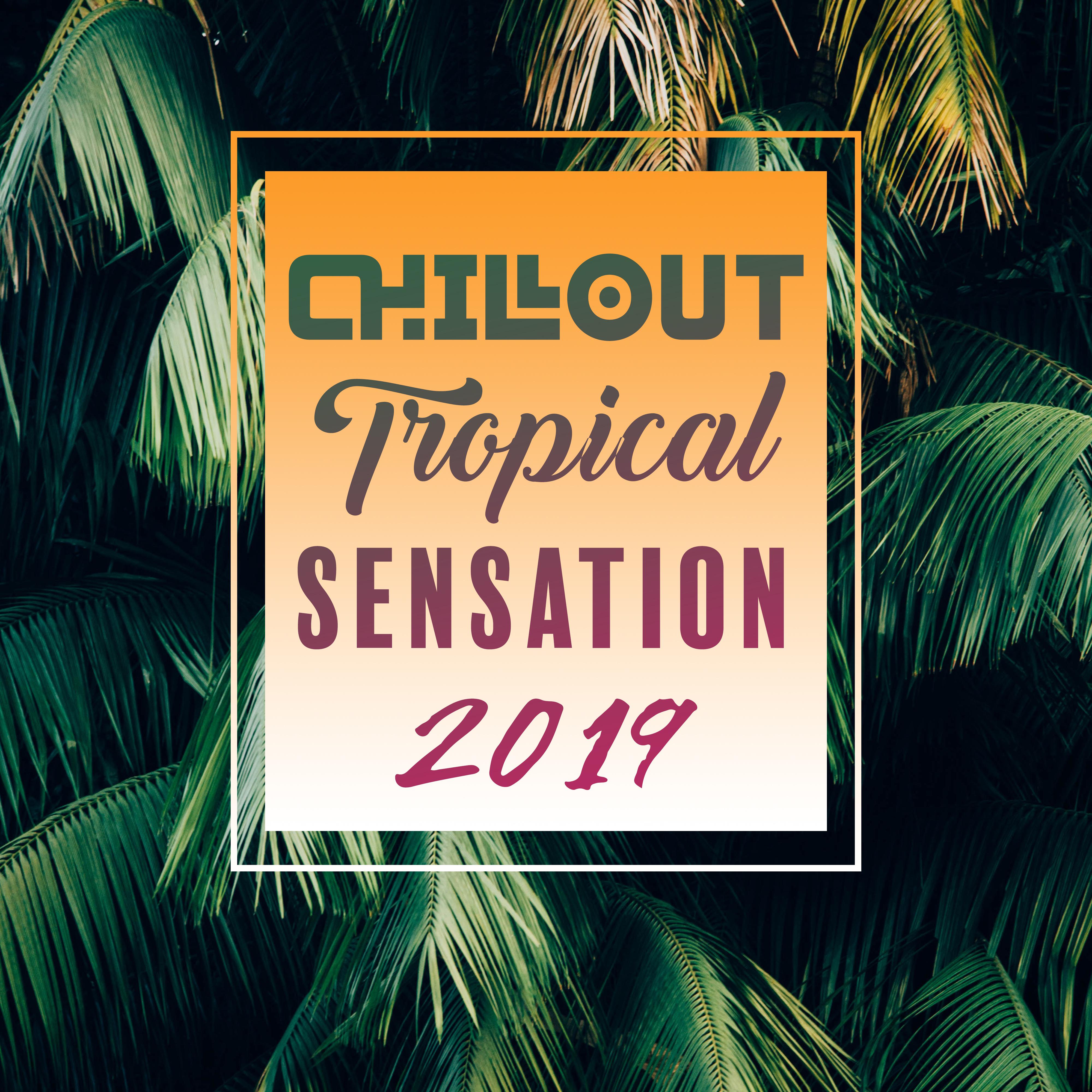 Chillout Tropical Sensation 2019 – Selection of Most Relaxing Top Chill Out Music, Vacation Beats, Beach Time Under The Palms, Positive Vibes, Summer Beach Bar
