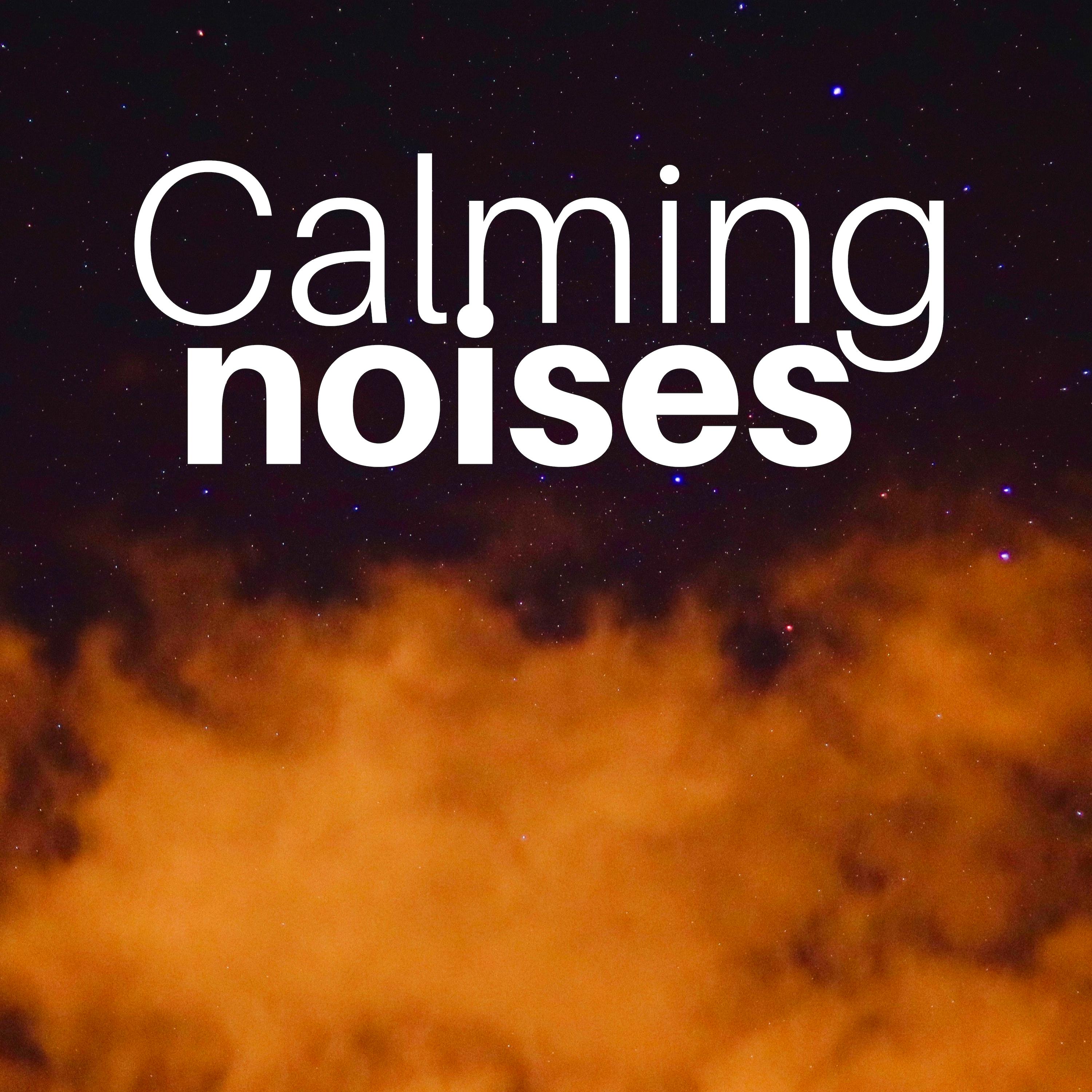 Calming Noises