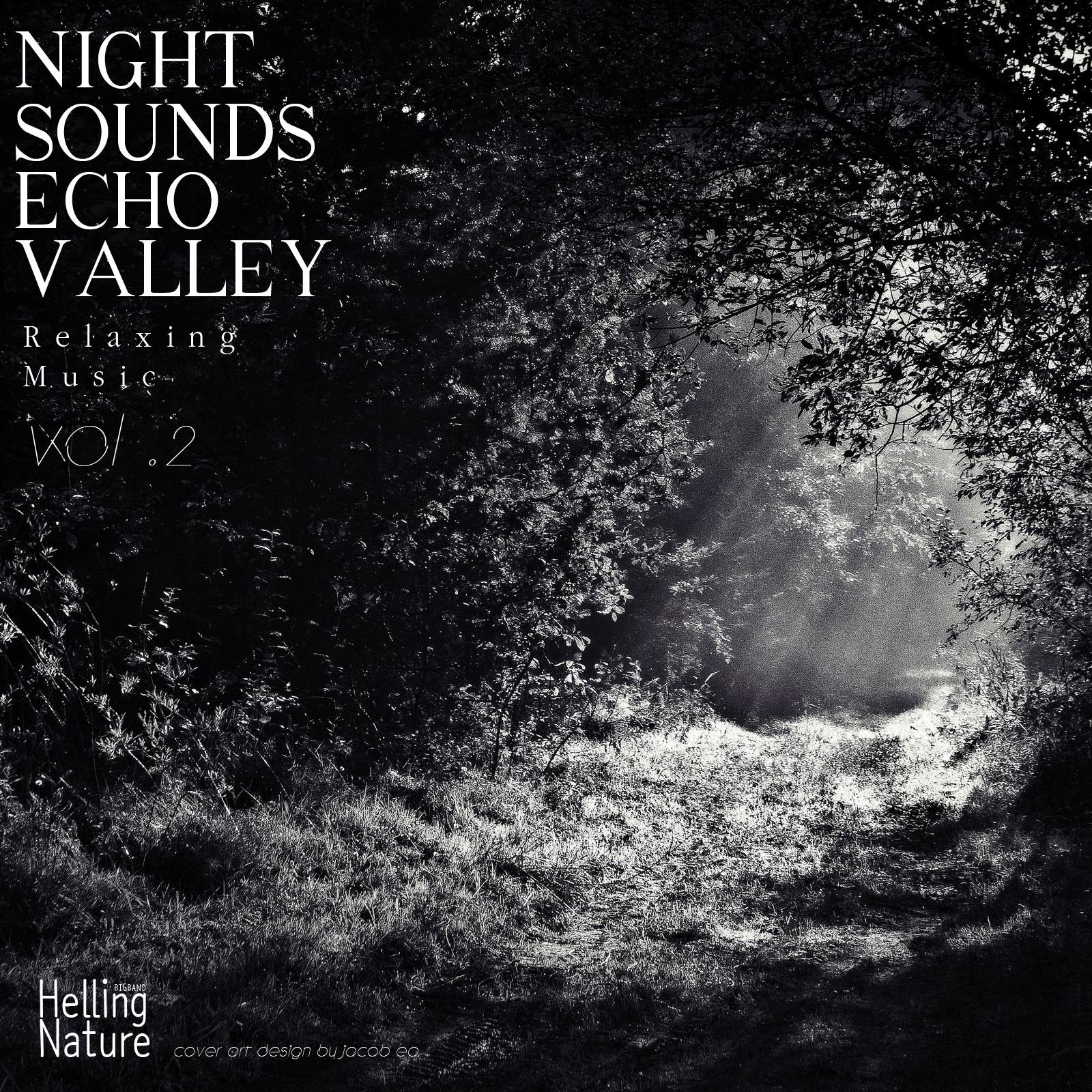 Night Sounds Echo Valley, Vol. 2