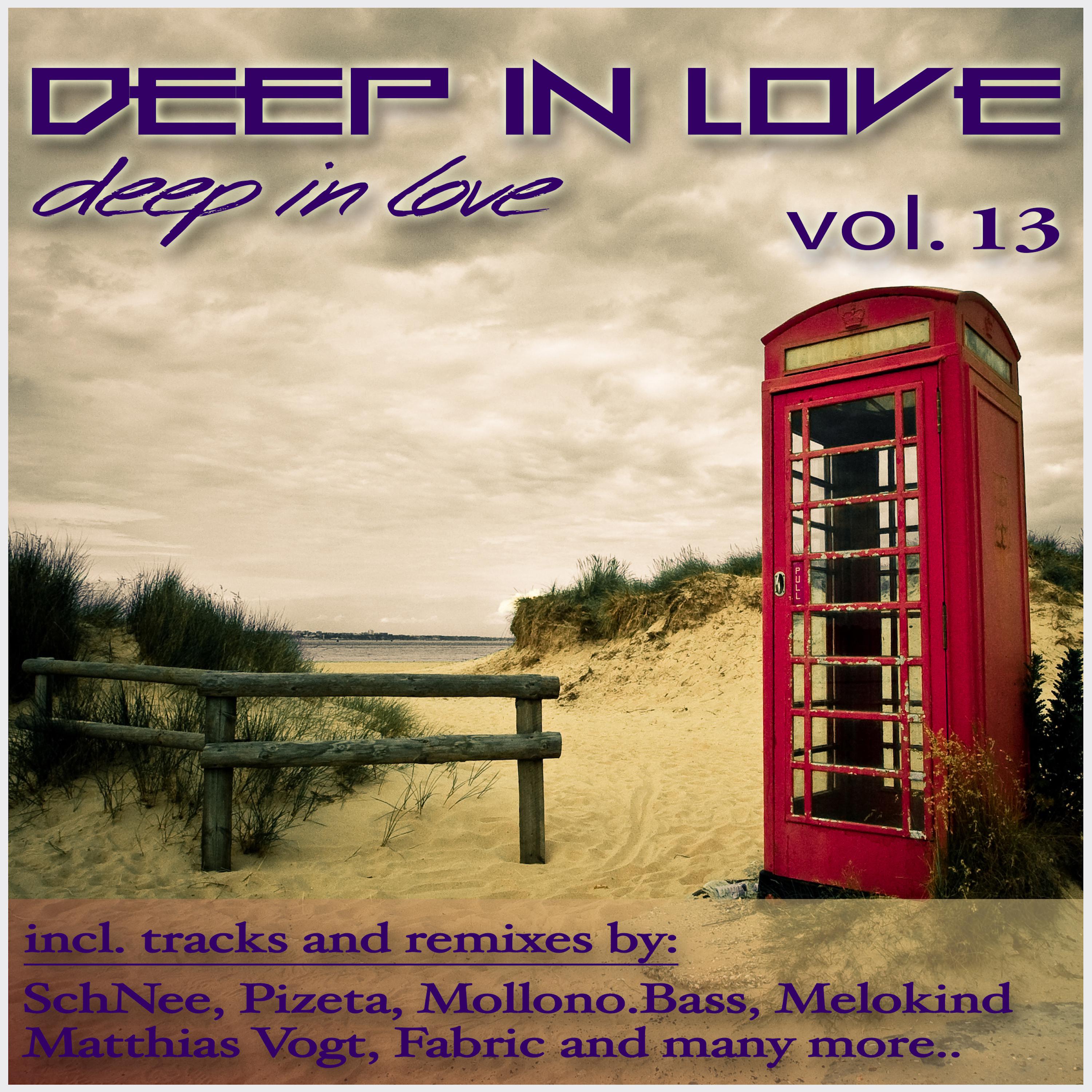 Deep in Love, Vol. 13