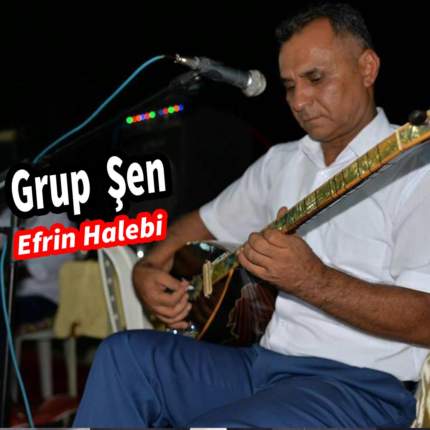 Efrin Halebi