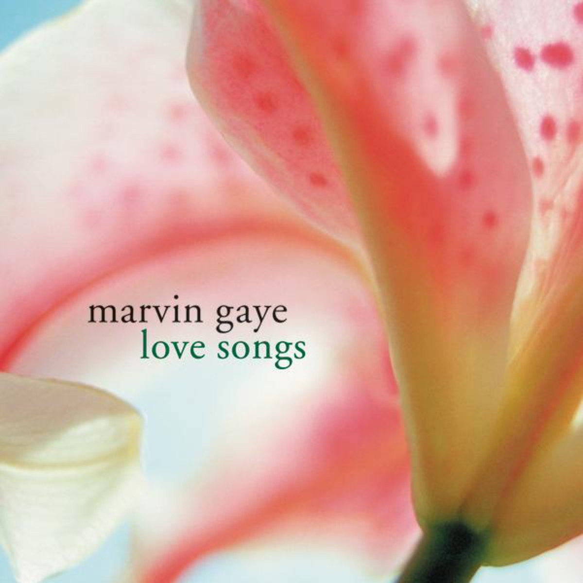 That's The Way Love Is - Album Version (Mono)