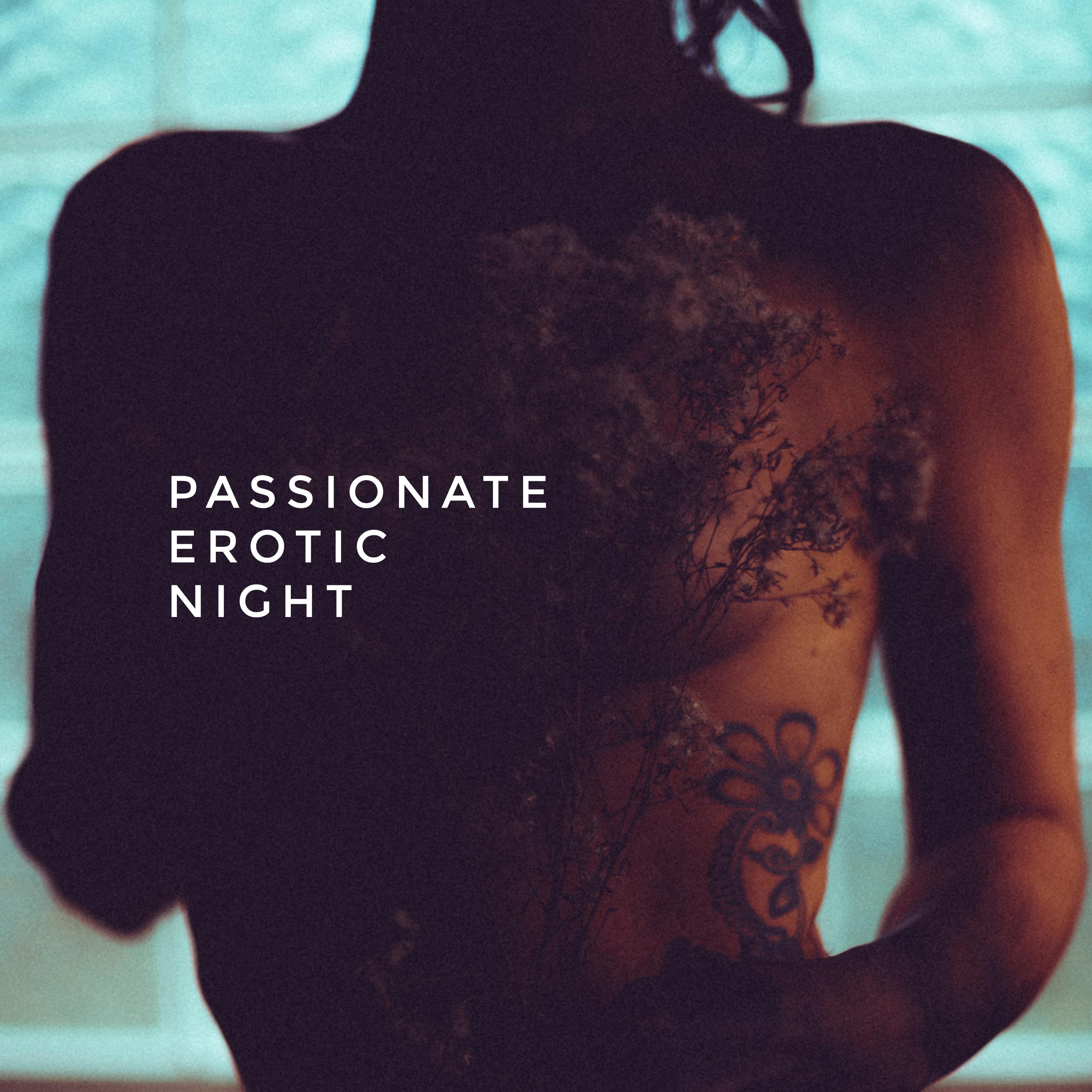 Passionate Erotic Night