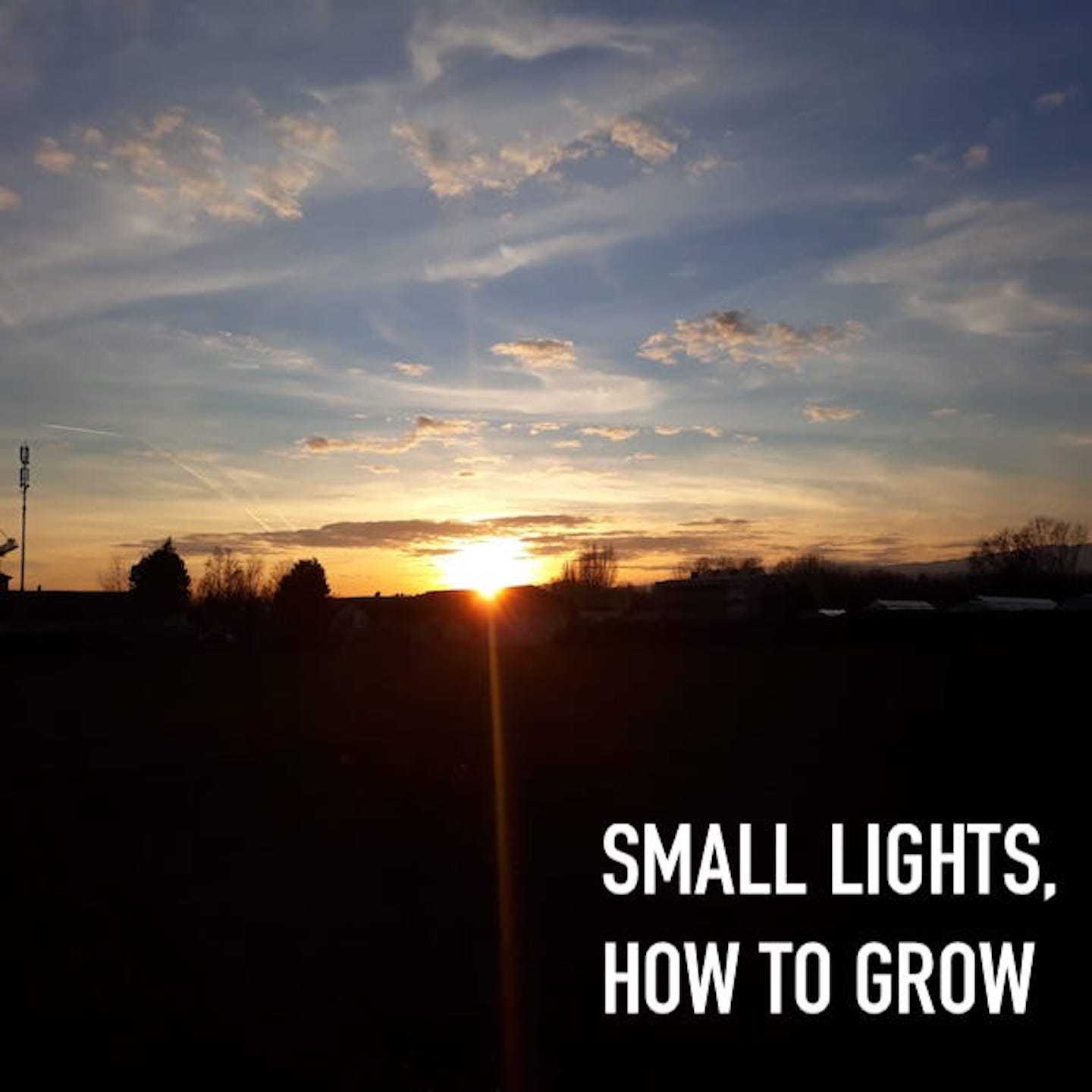 Small Lights, How to Grow