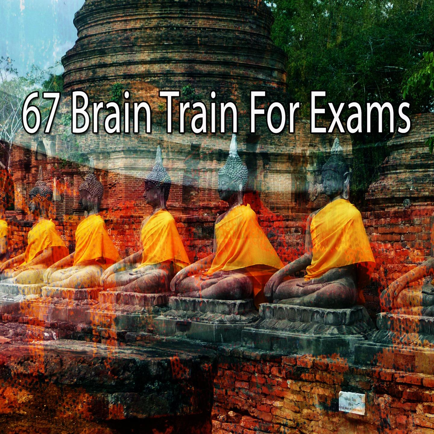 67 Brain Train for Exams