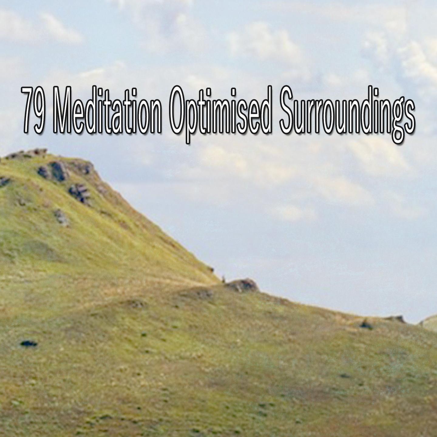 79 Meditation Optimised Surroundings