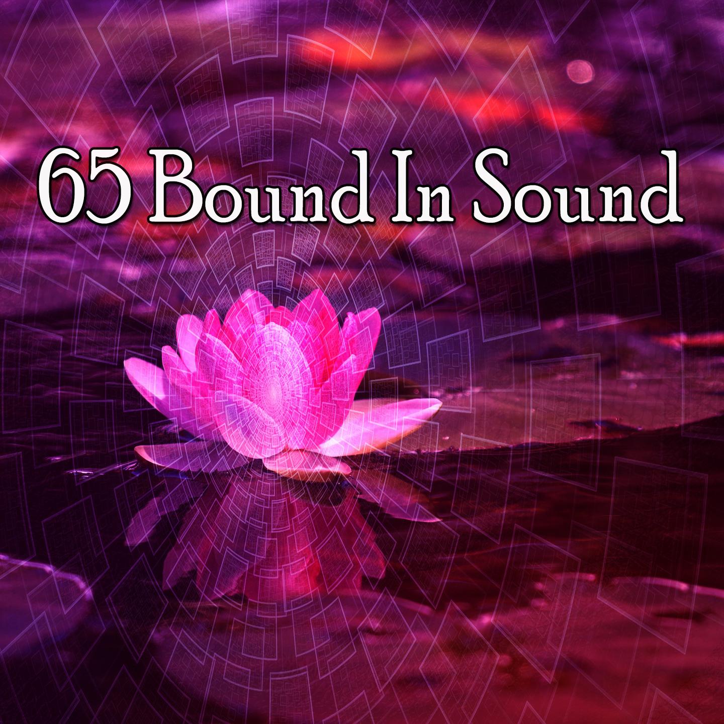 65 Bound in Sound