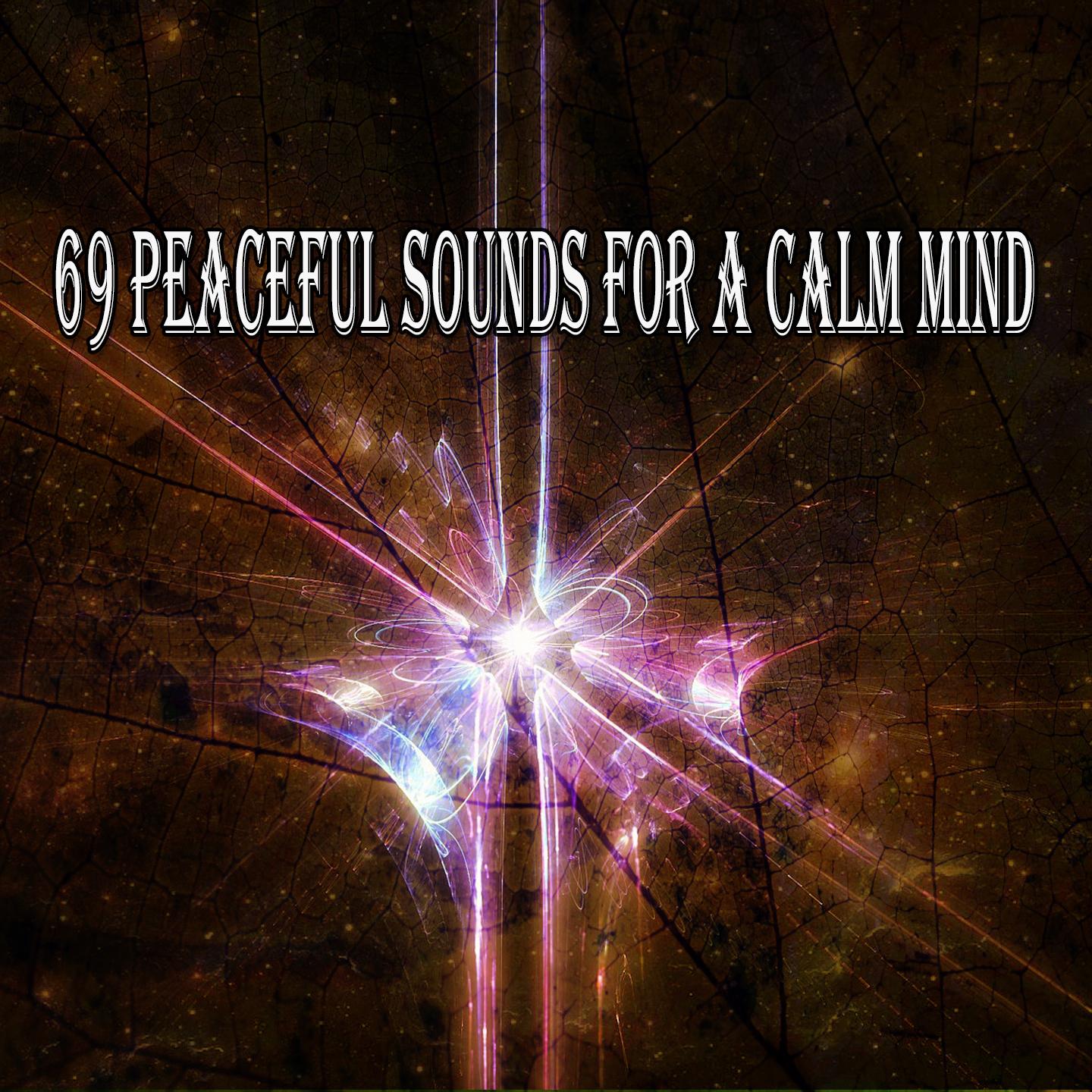 69 Peaceful Sounds for a Calm Mind