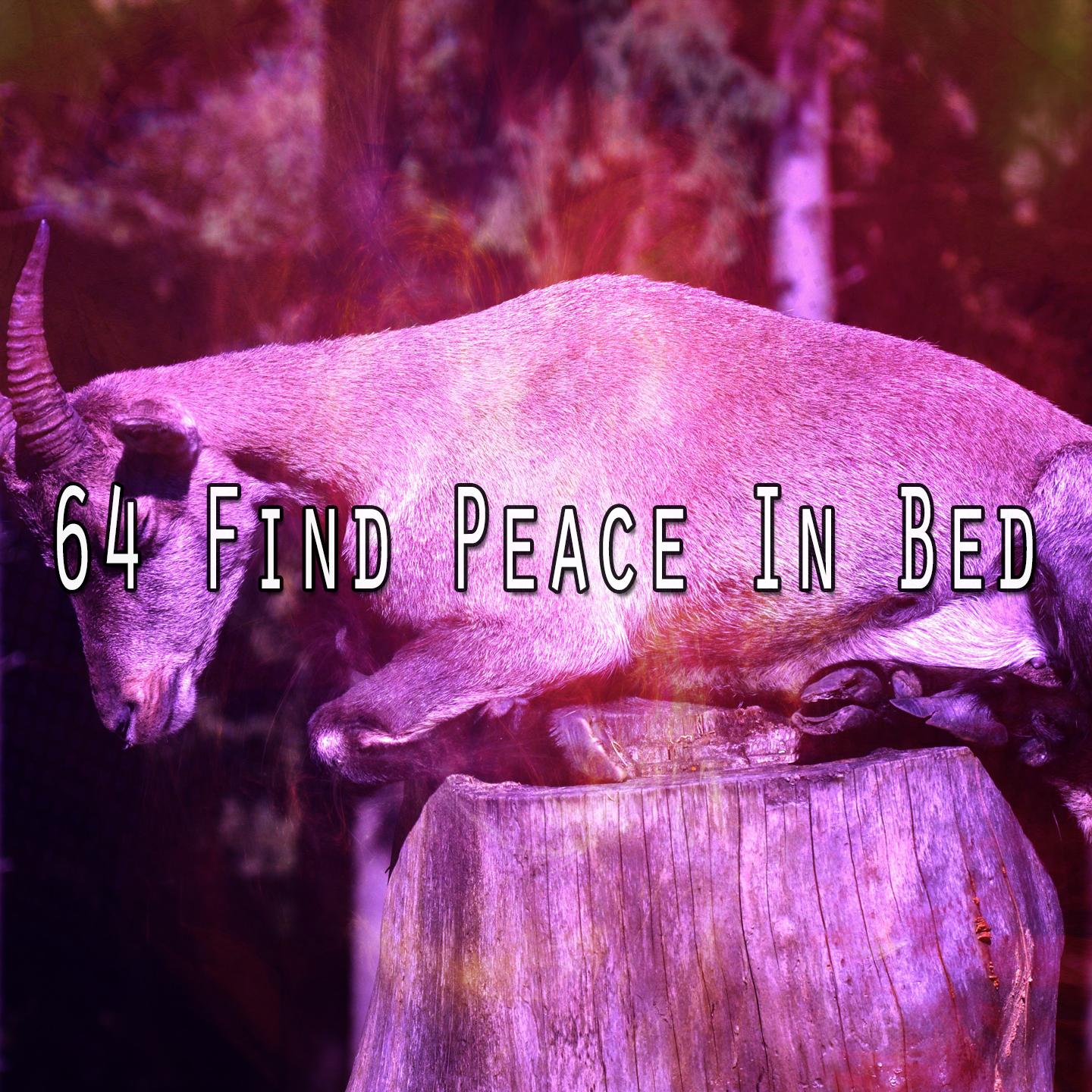 64 Find Peace in Bed