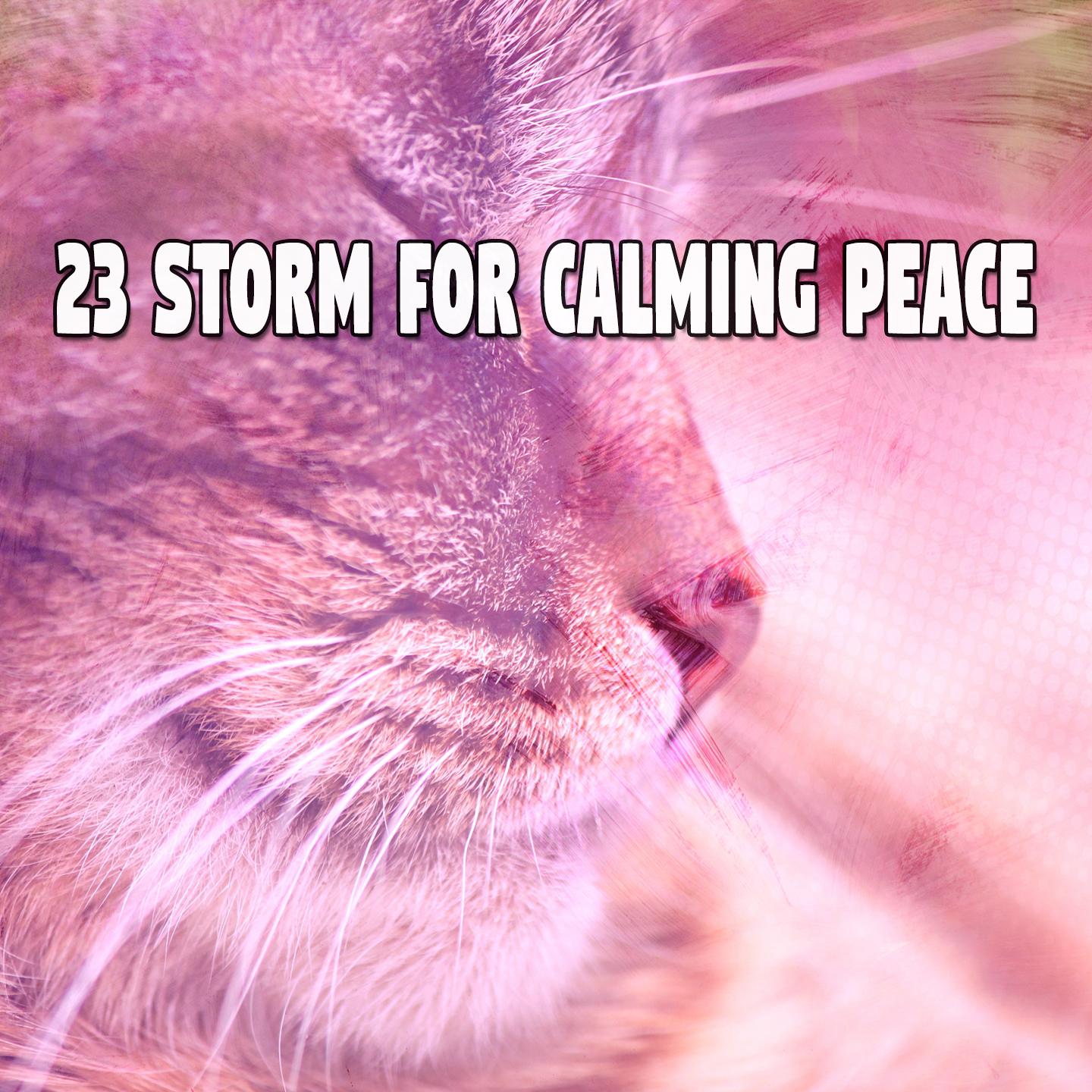 23 Storm for Calming Peace