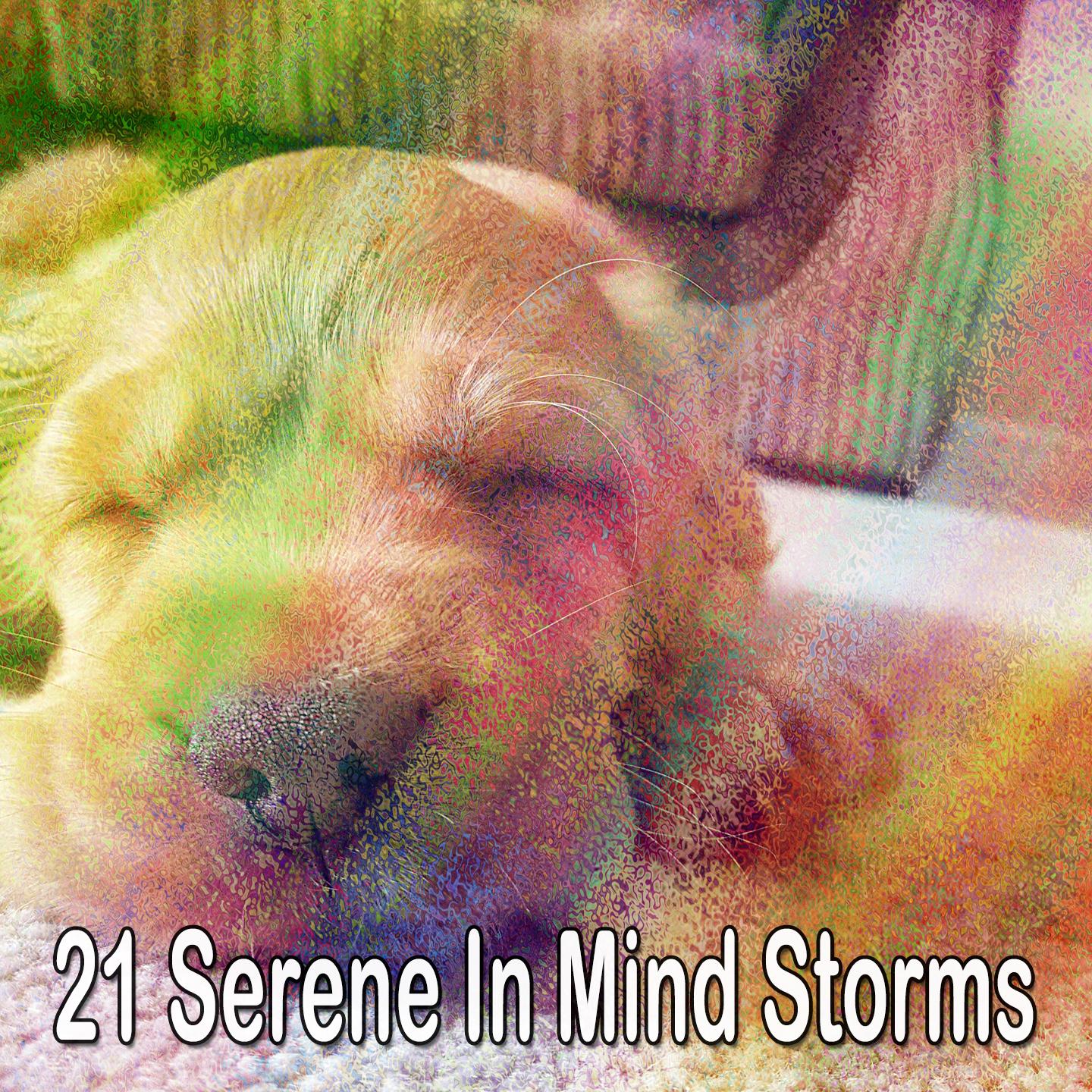 21 Serene in Mind Storms
