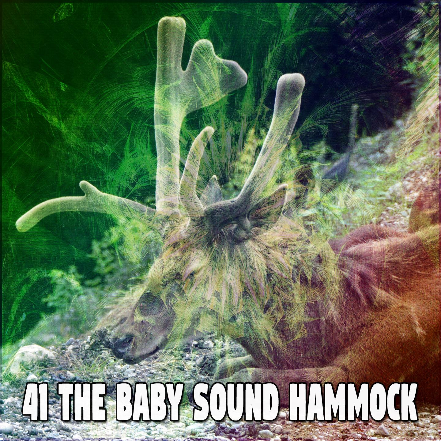 41 The Baby Sound Hammock