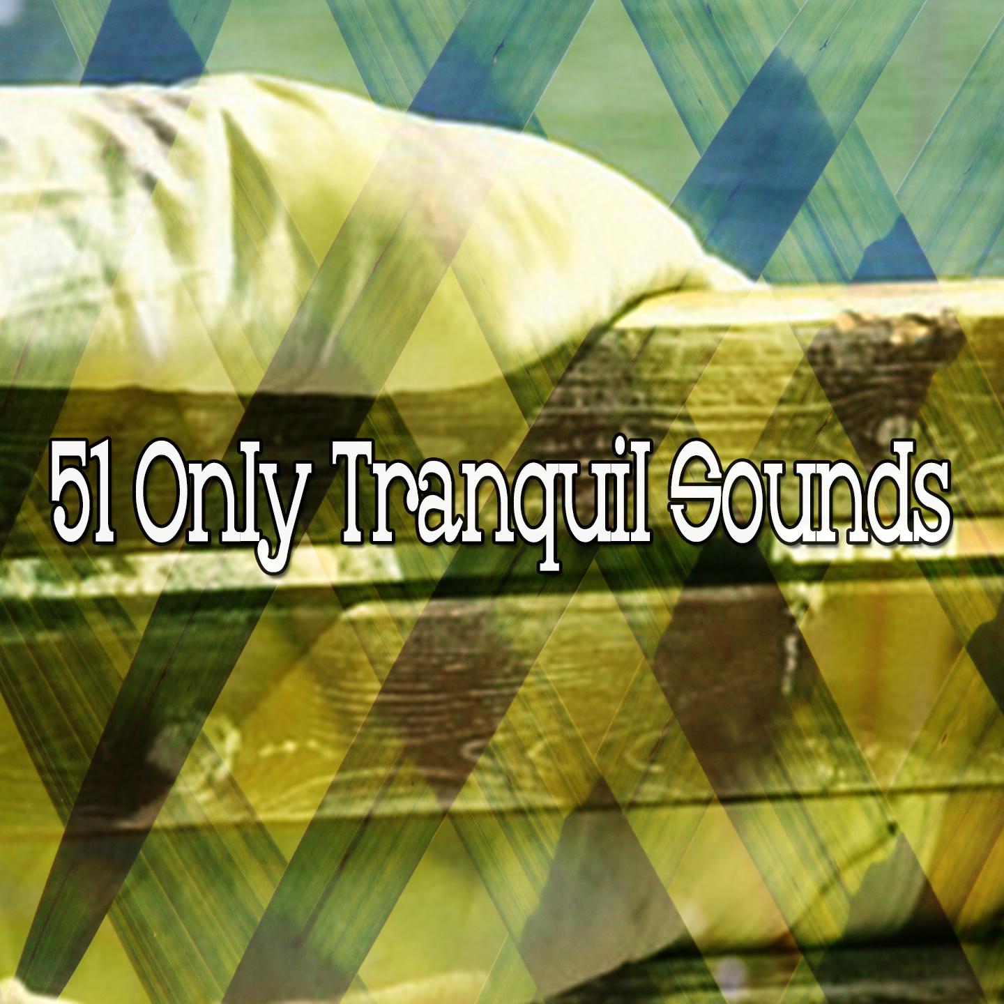 51 Only Tranquil Sounds