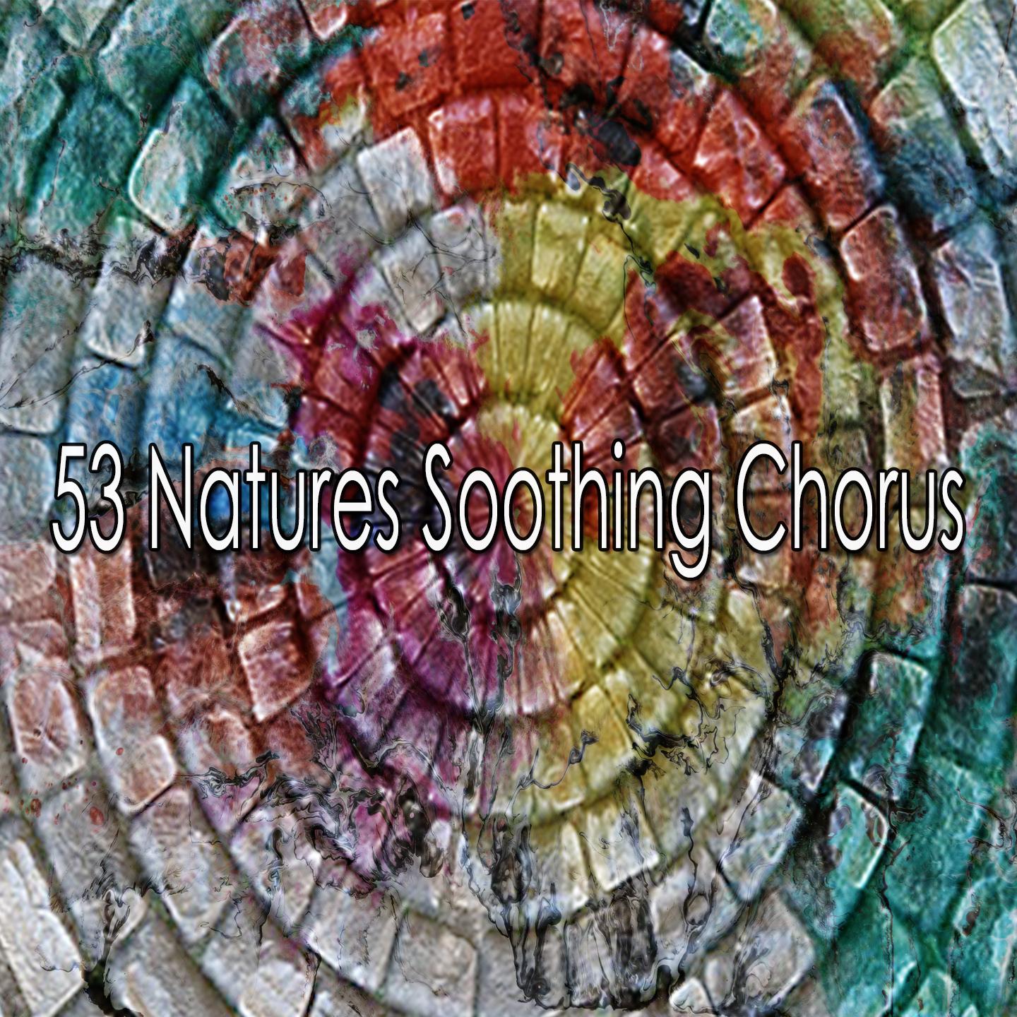 53 Natures Soothing Chorus