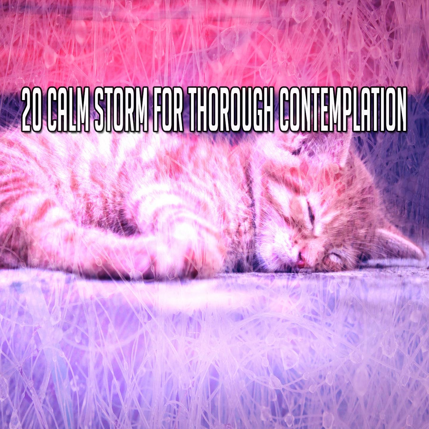 20 Calm Storm for Thorough Contemplation