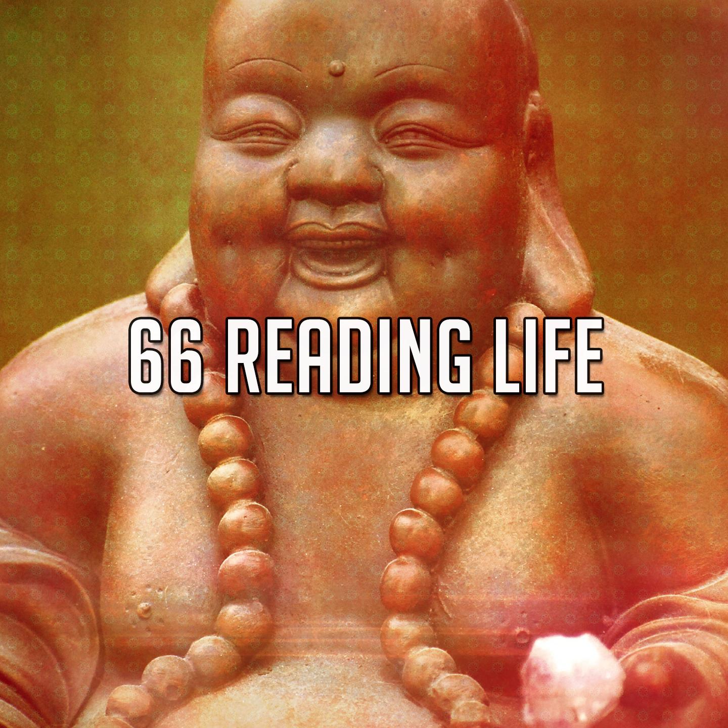 66 Reading Life