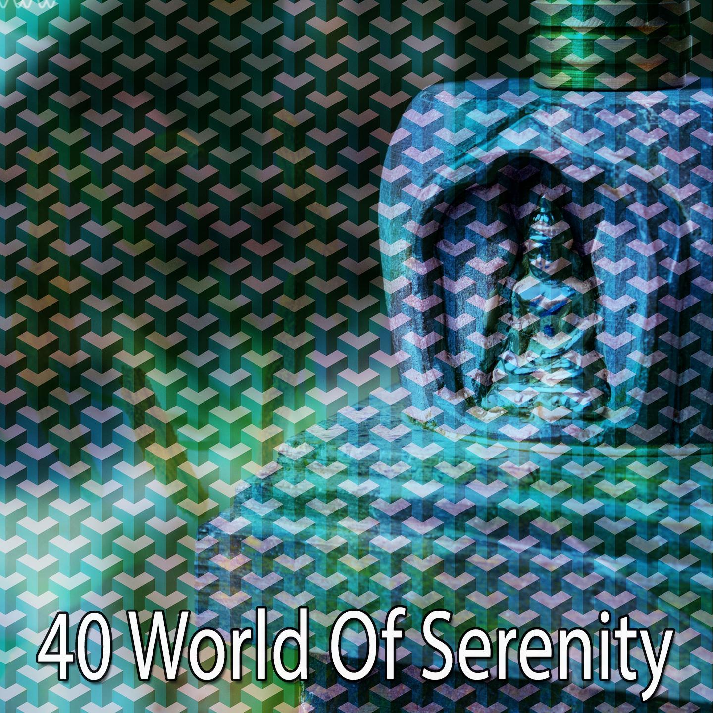 40 World of Serenity