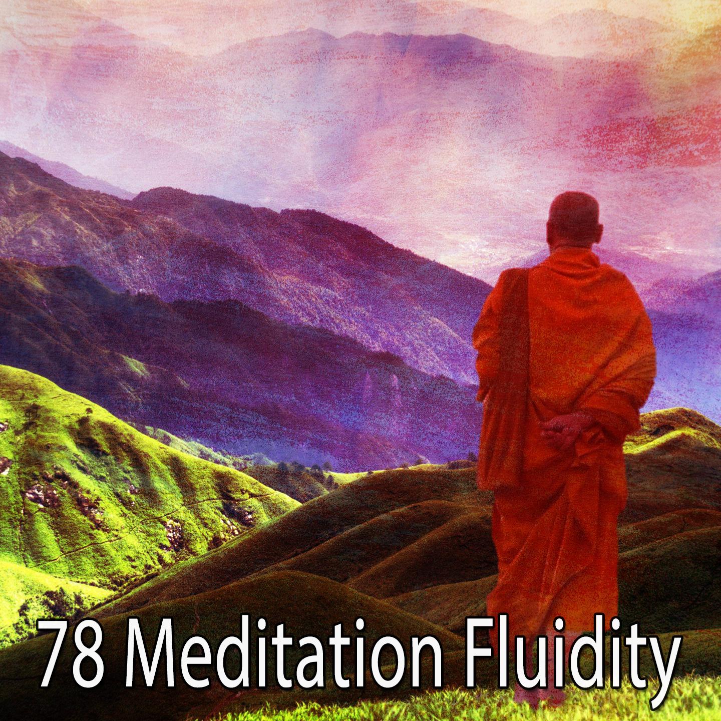 78 Meditation Fluidity