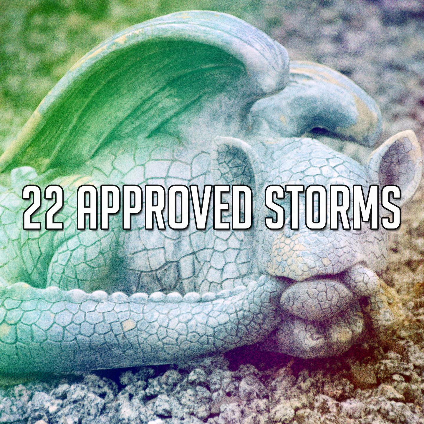 22 Approved Storms