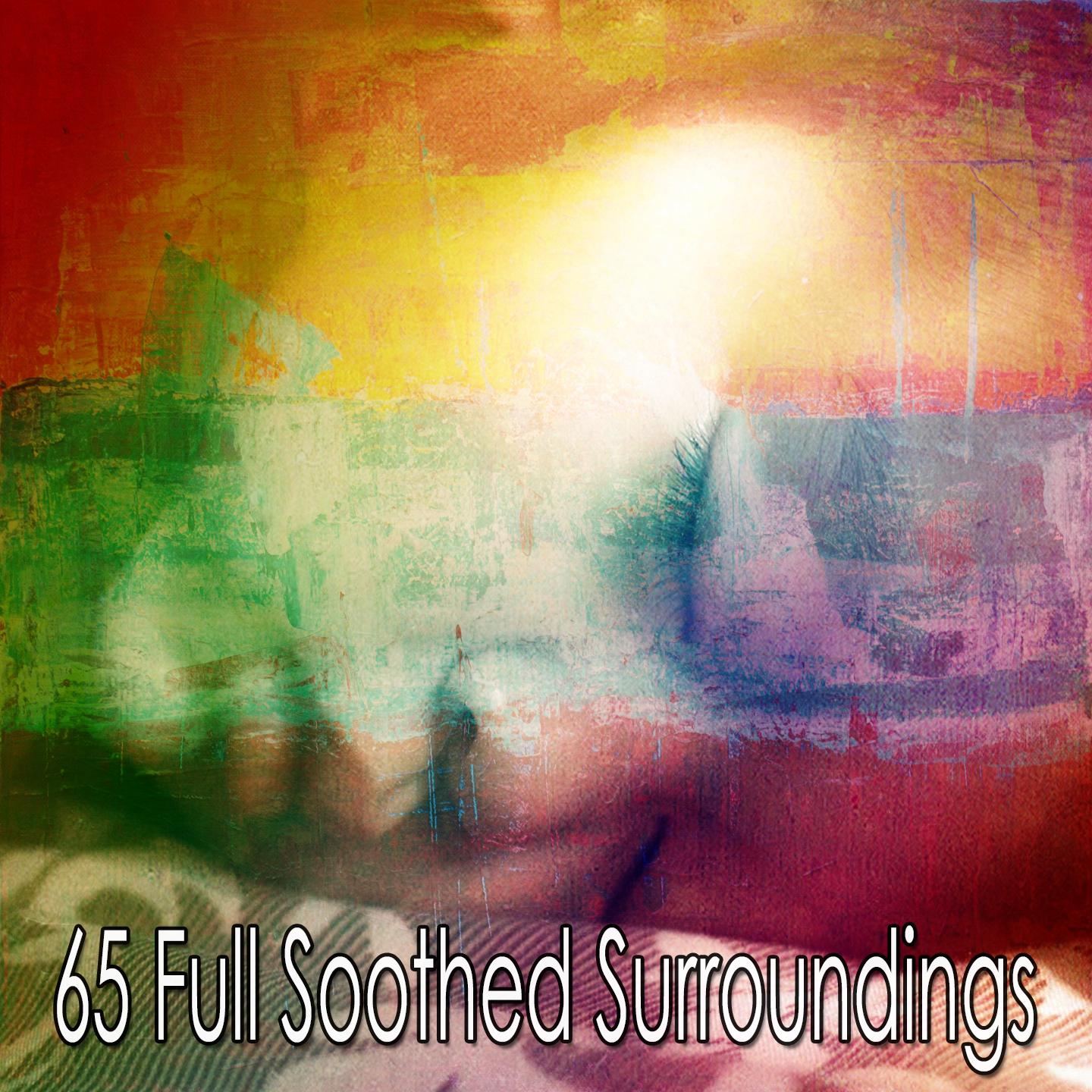 65 Full Soothed Surroundings