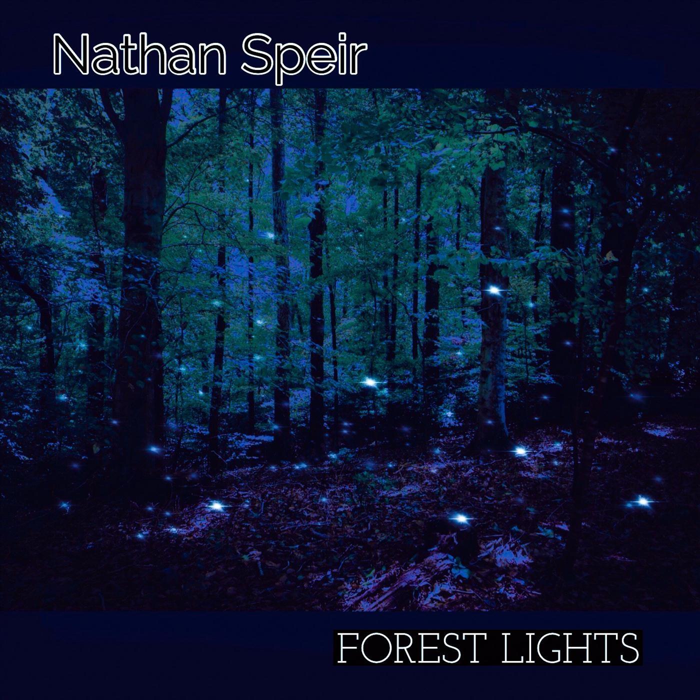 Forest Lights