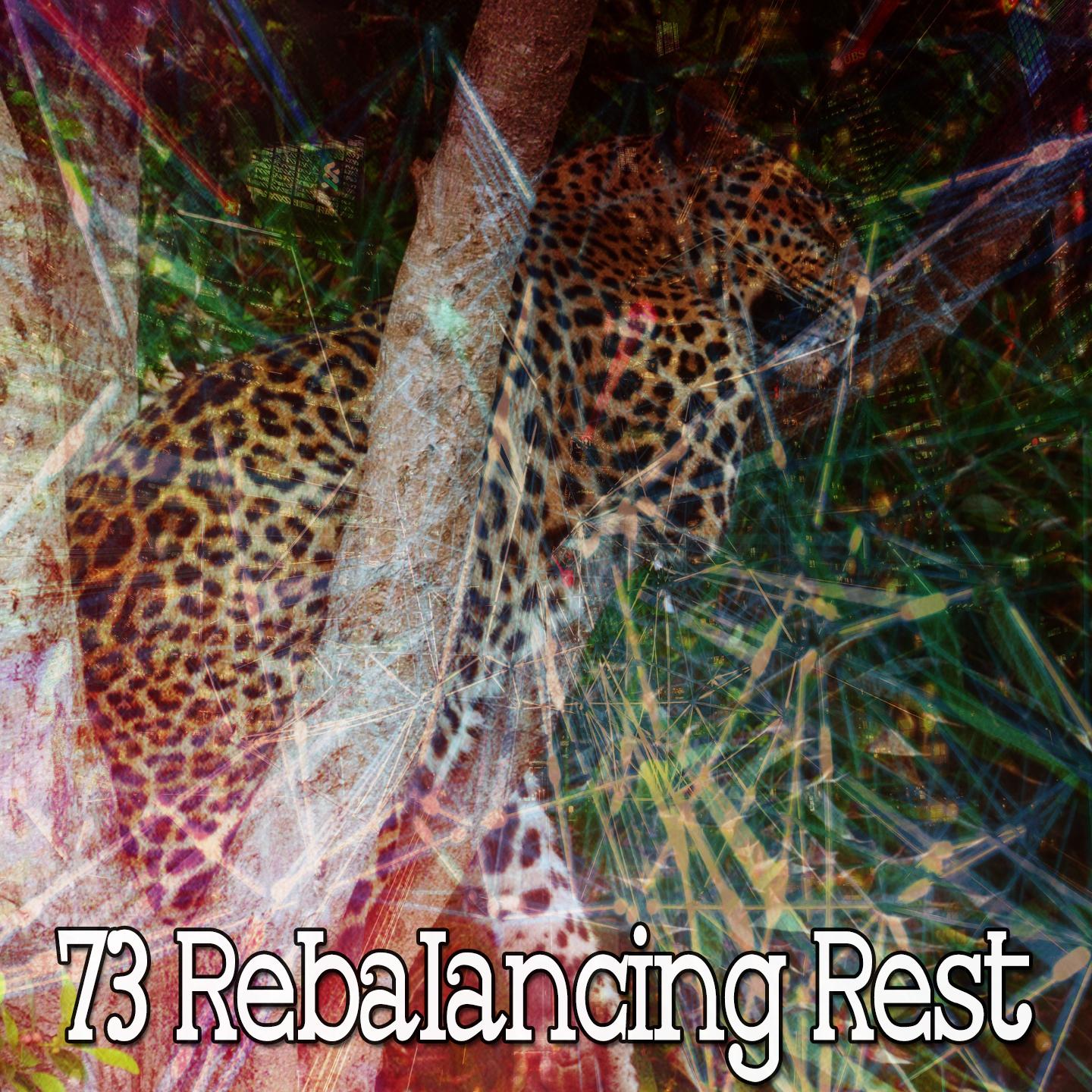 73 Rebalancing Rest