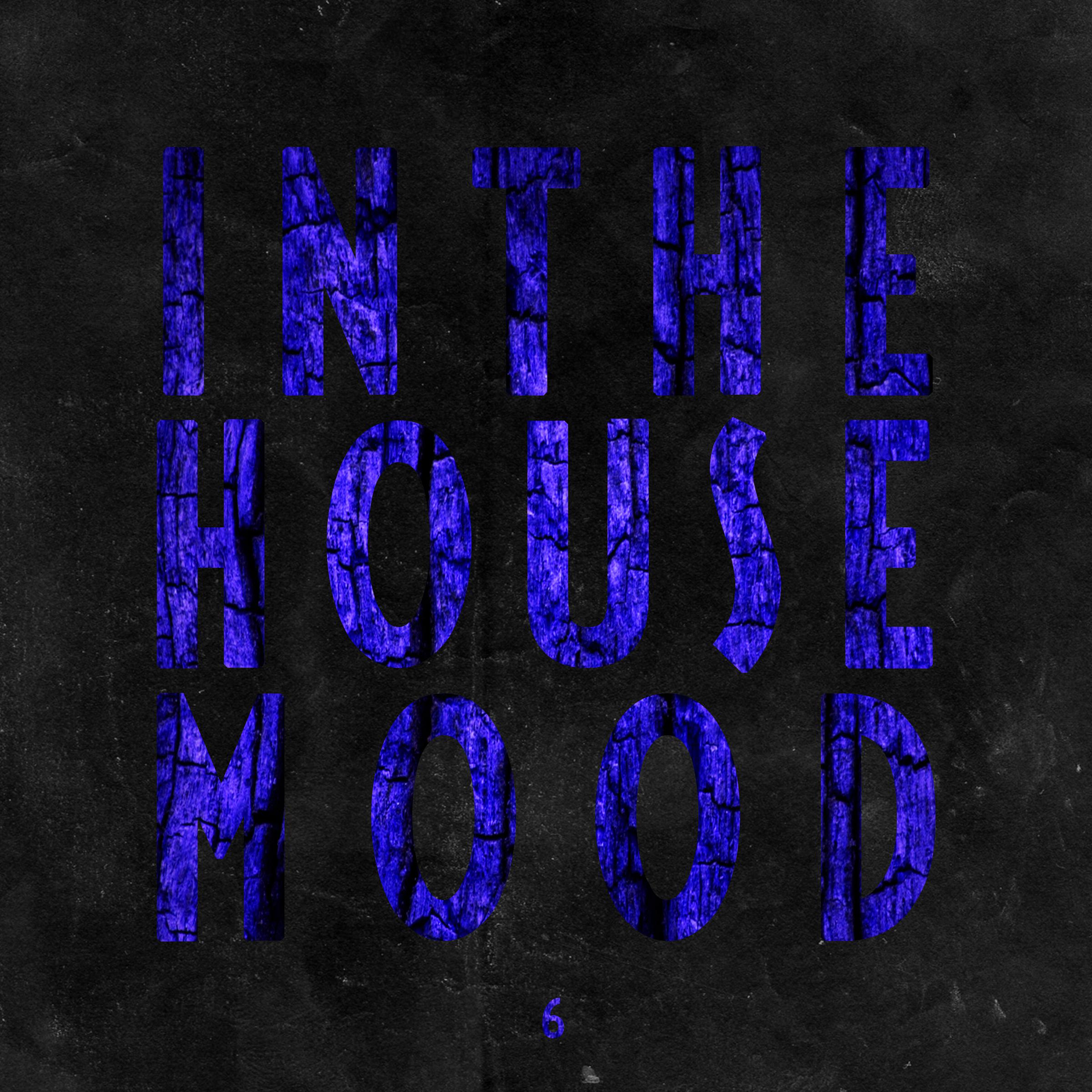 In the House Mood, Vol. 6