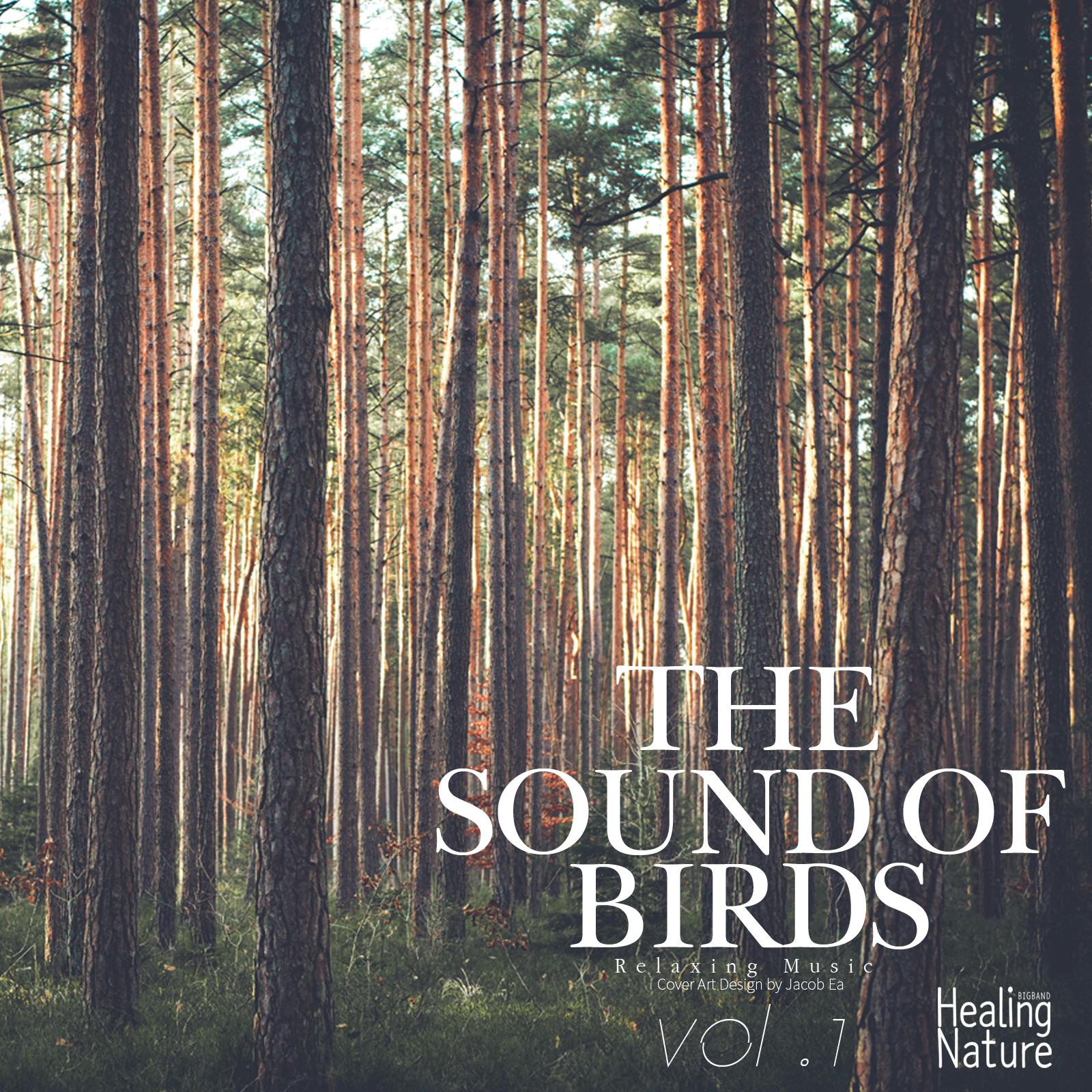 The Sounds of Birds, Vol. 1