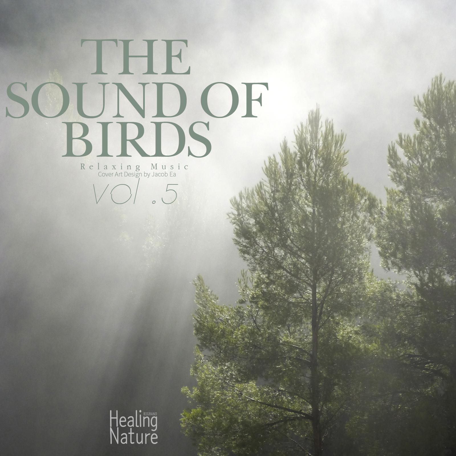 The Sounds of Birds, Vol. 5