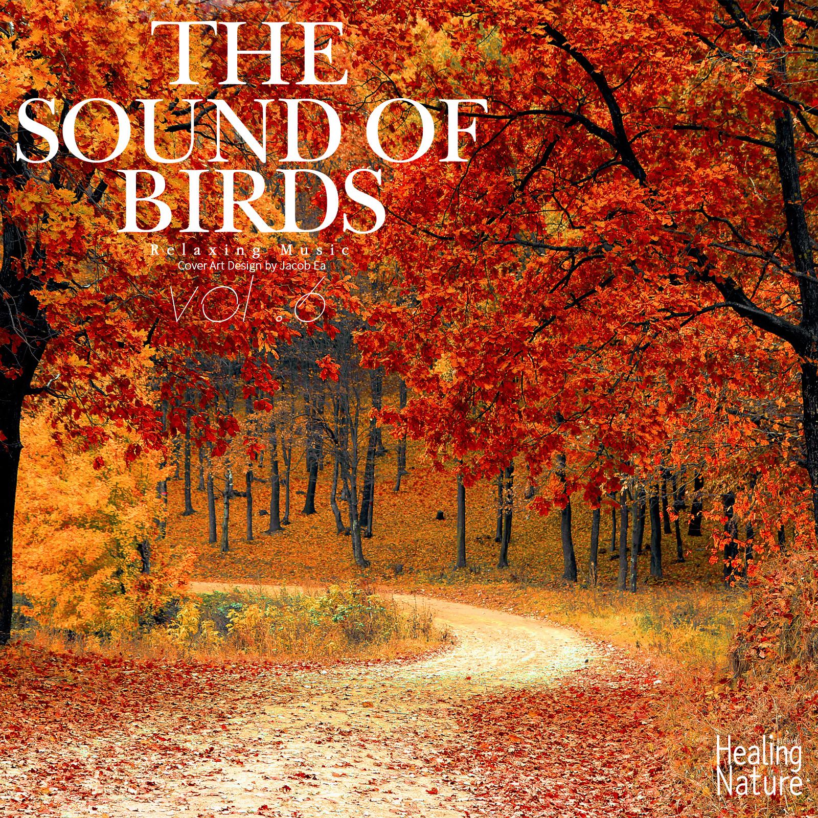 The Sounds of Birds, Vol. 6