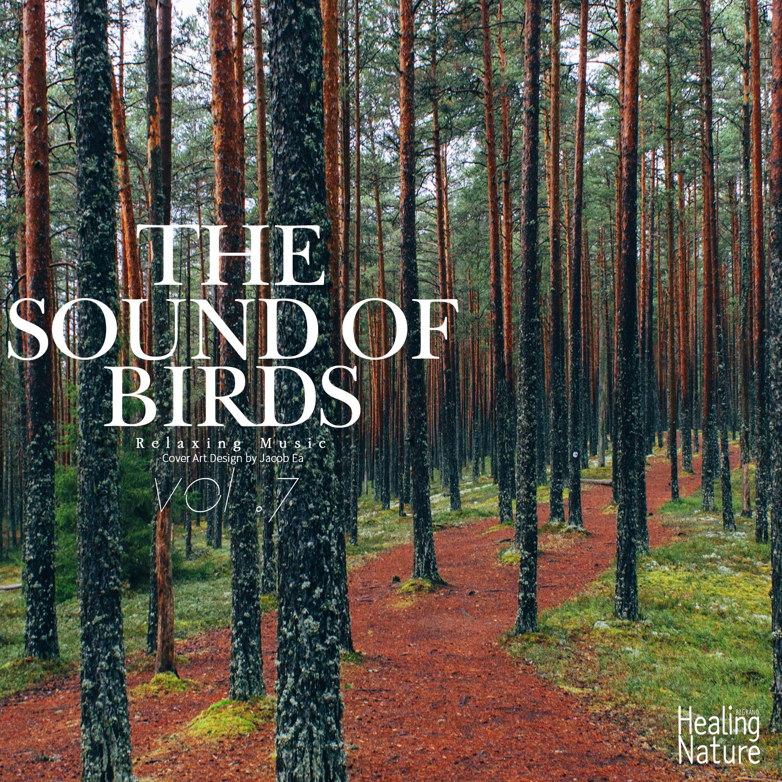 The Sounds of Birds, Vol. 7