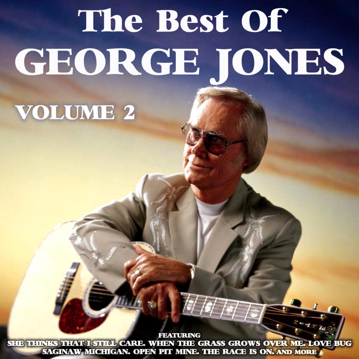 George Jones-the Best of Vol. 2