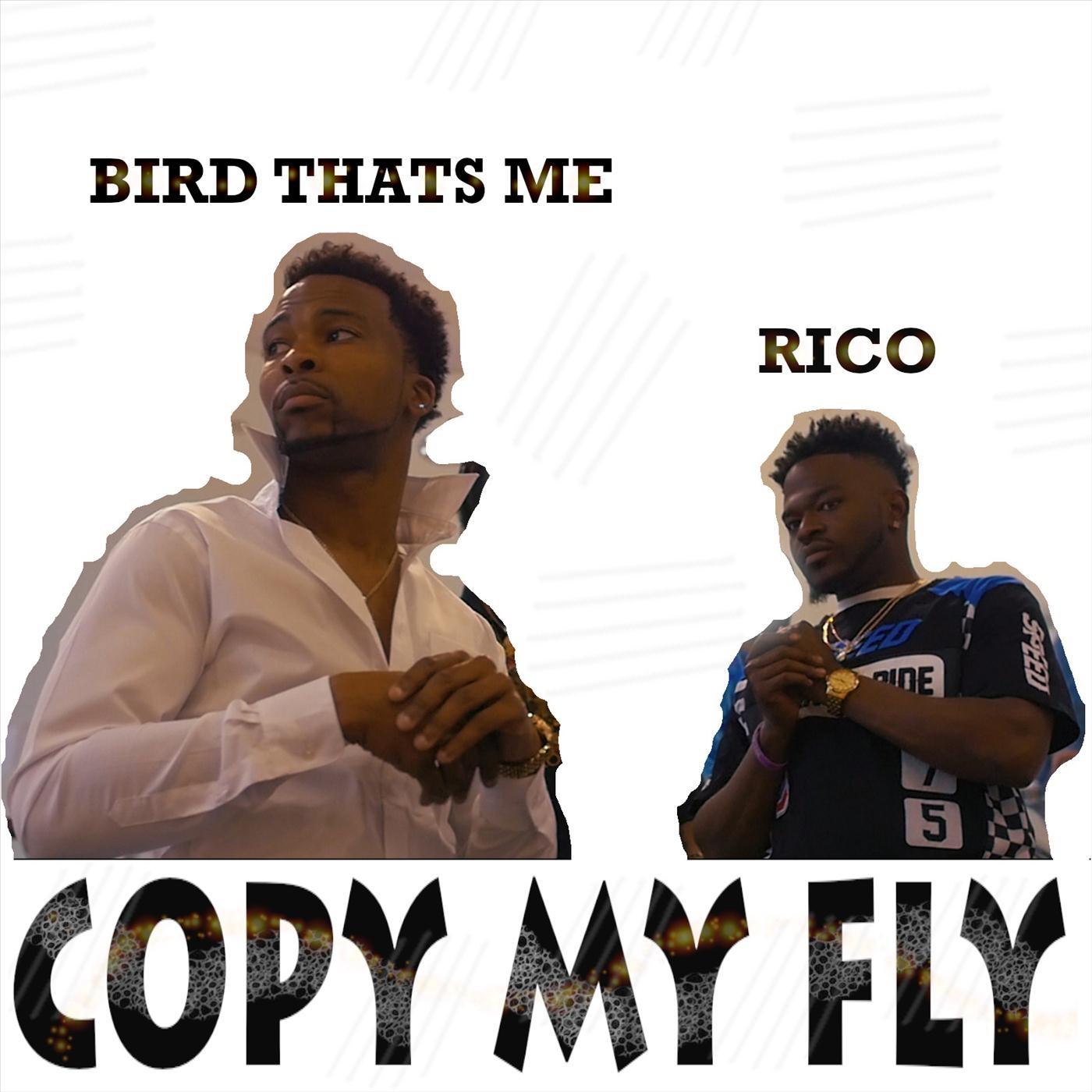 Copy My Fly