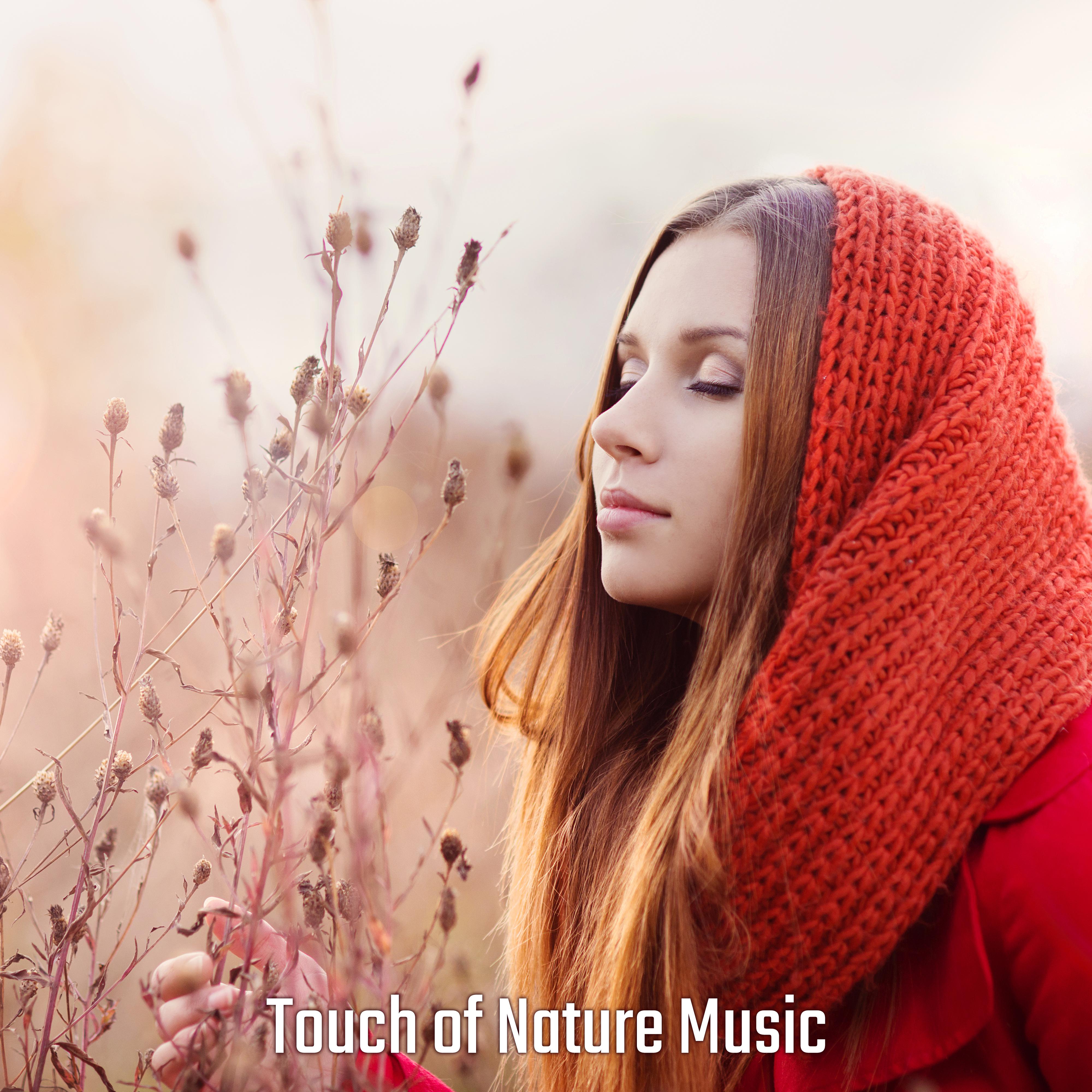 Touch of Nature Music – Soothing Nature Sounds for Relaxation, Sleep, Deep Meditation, Ambient Music, Zen, New Age Relaxing Collection, Stress Relief