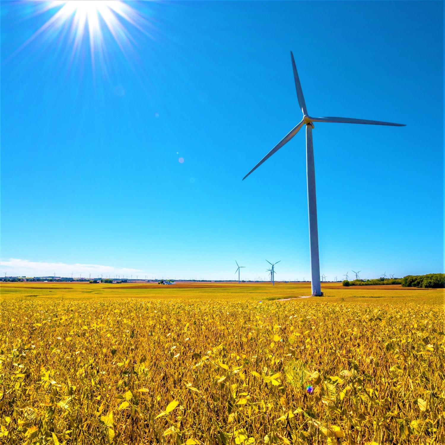 Wind Turbine in Summer - Relaxing Nature Sound - Flower Sun Bee