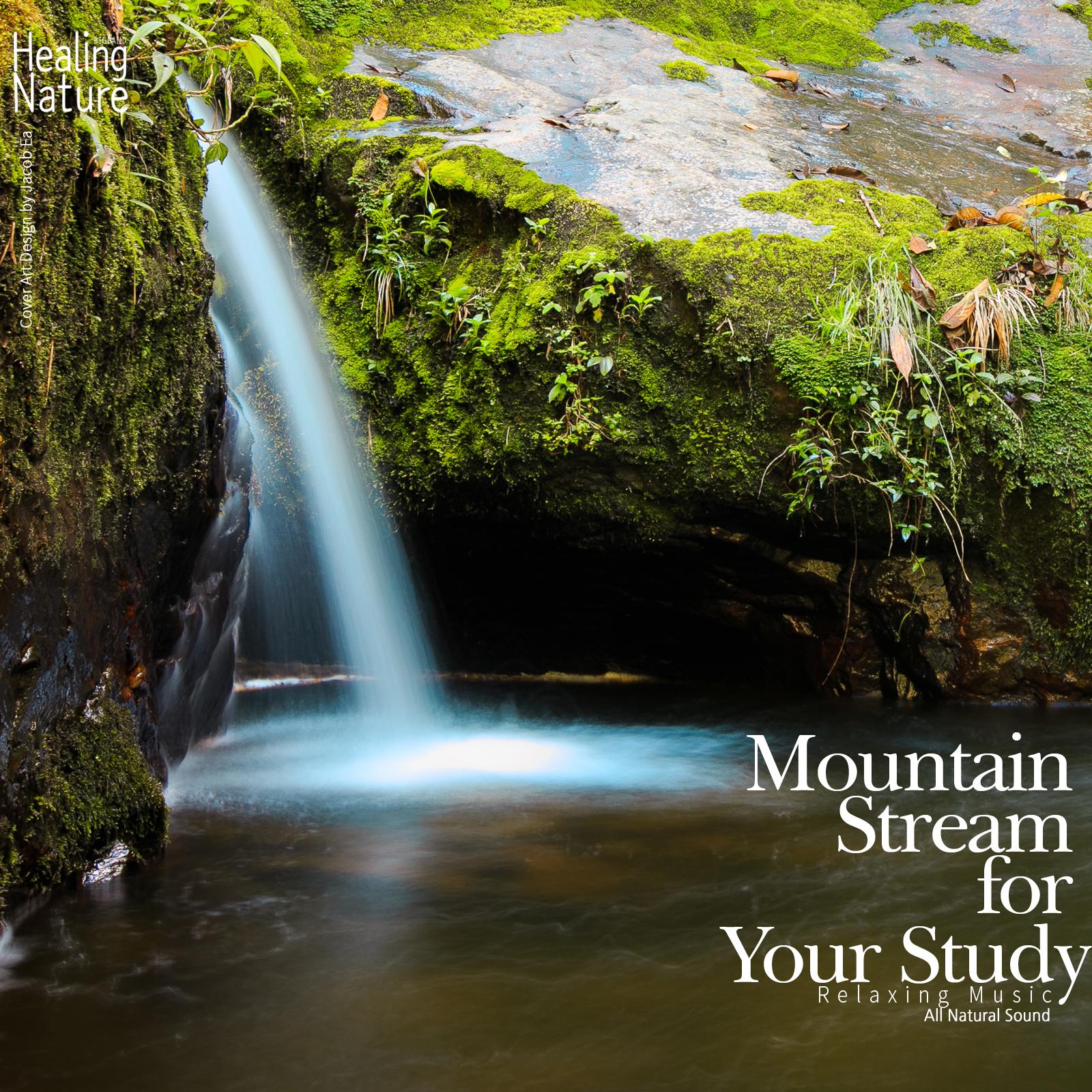 Mountain Stream for Your Study