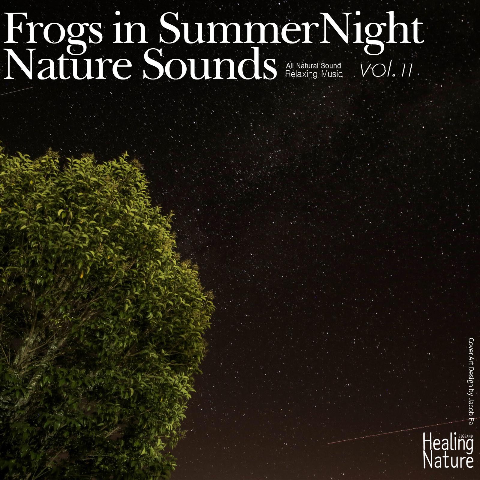 Night Sound from Forest 3