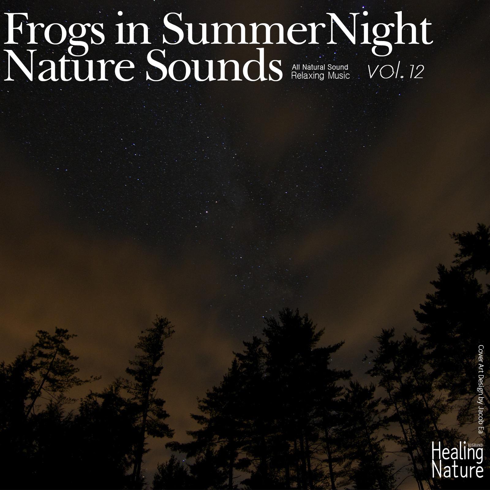 Frogs in Summer Night Nature Sounds, Vol.12