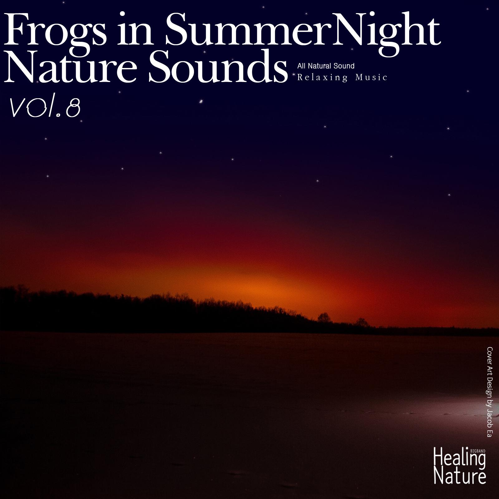 Summer Night Nature Sounds 9